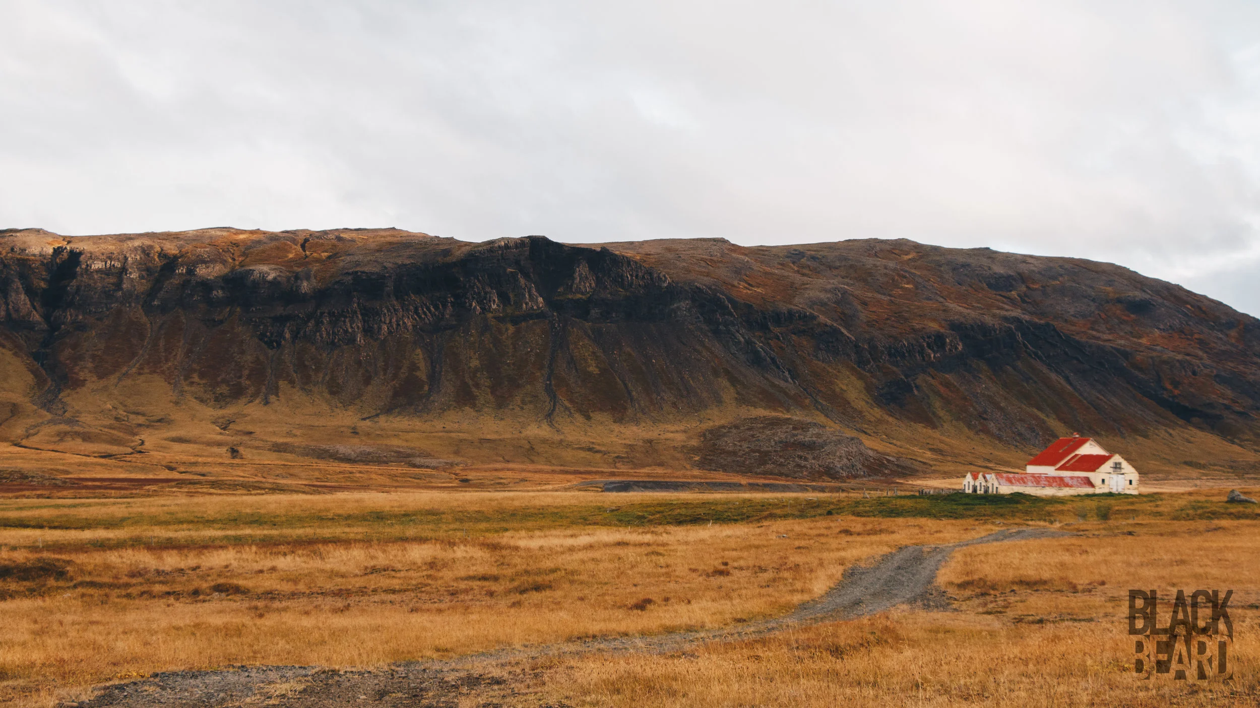 _MG_8937-1-2.jpg