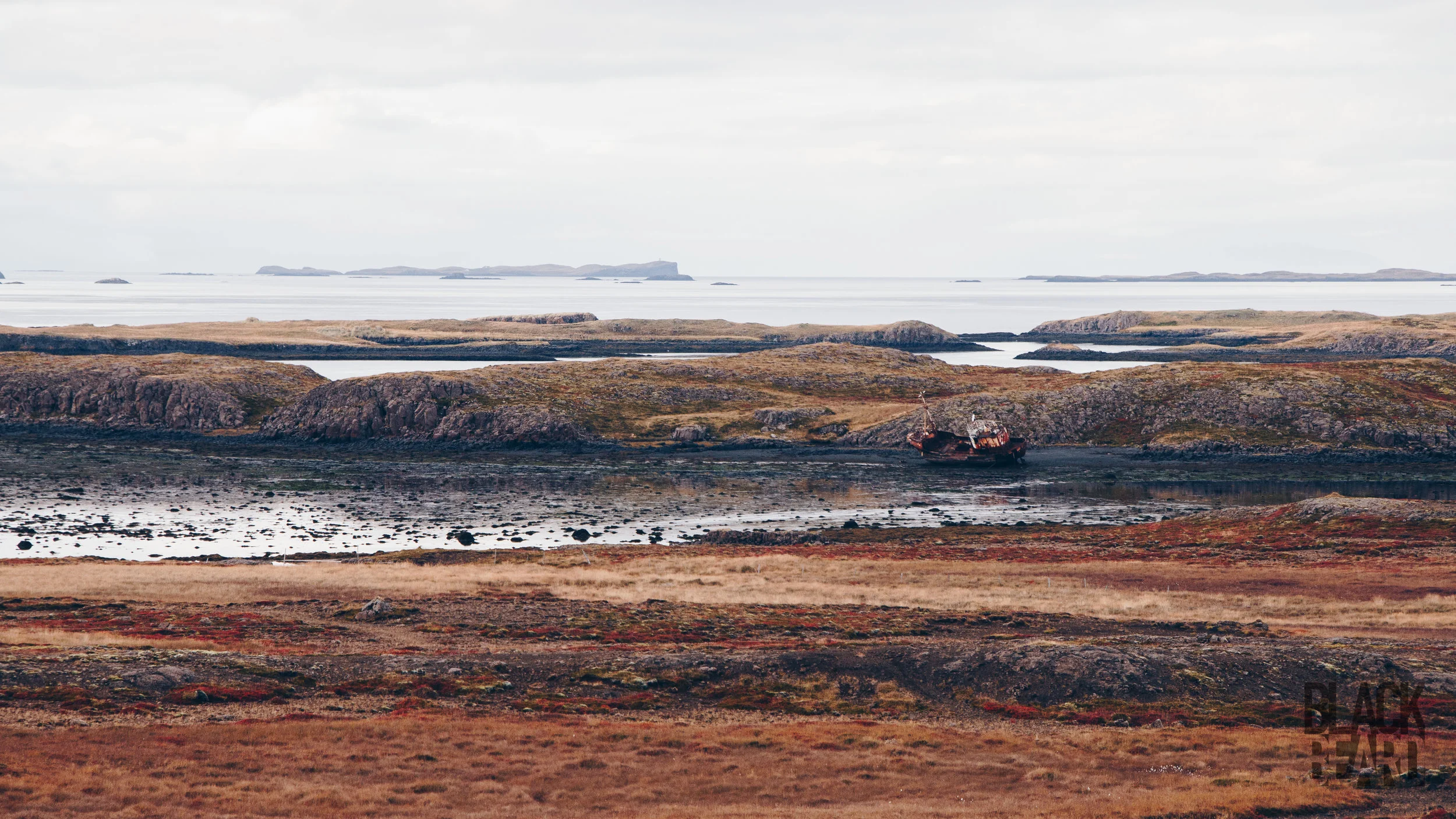 _MG_8942-1-2.jpg