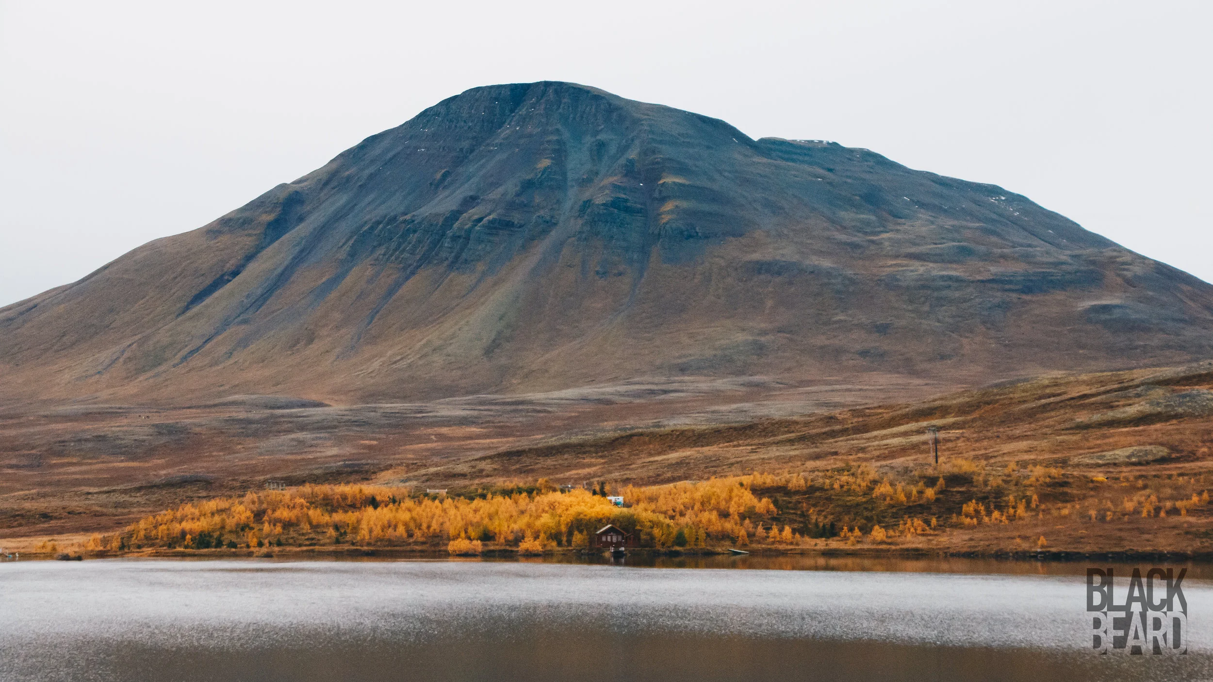 _MG_8982-1-2.jpg