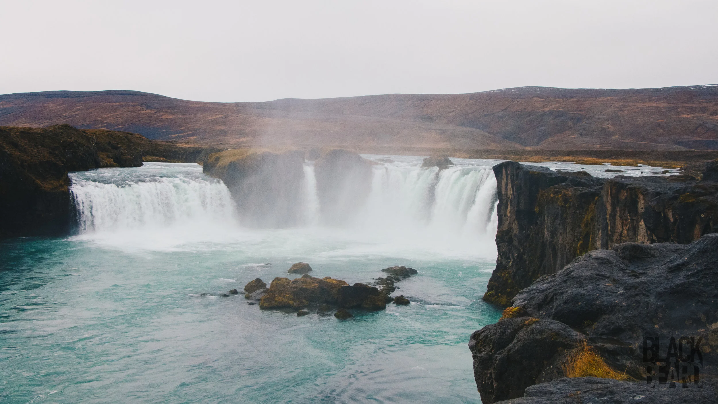 _MG_9037-1-2.jpg