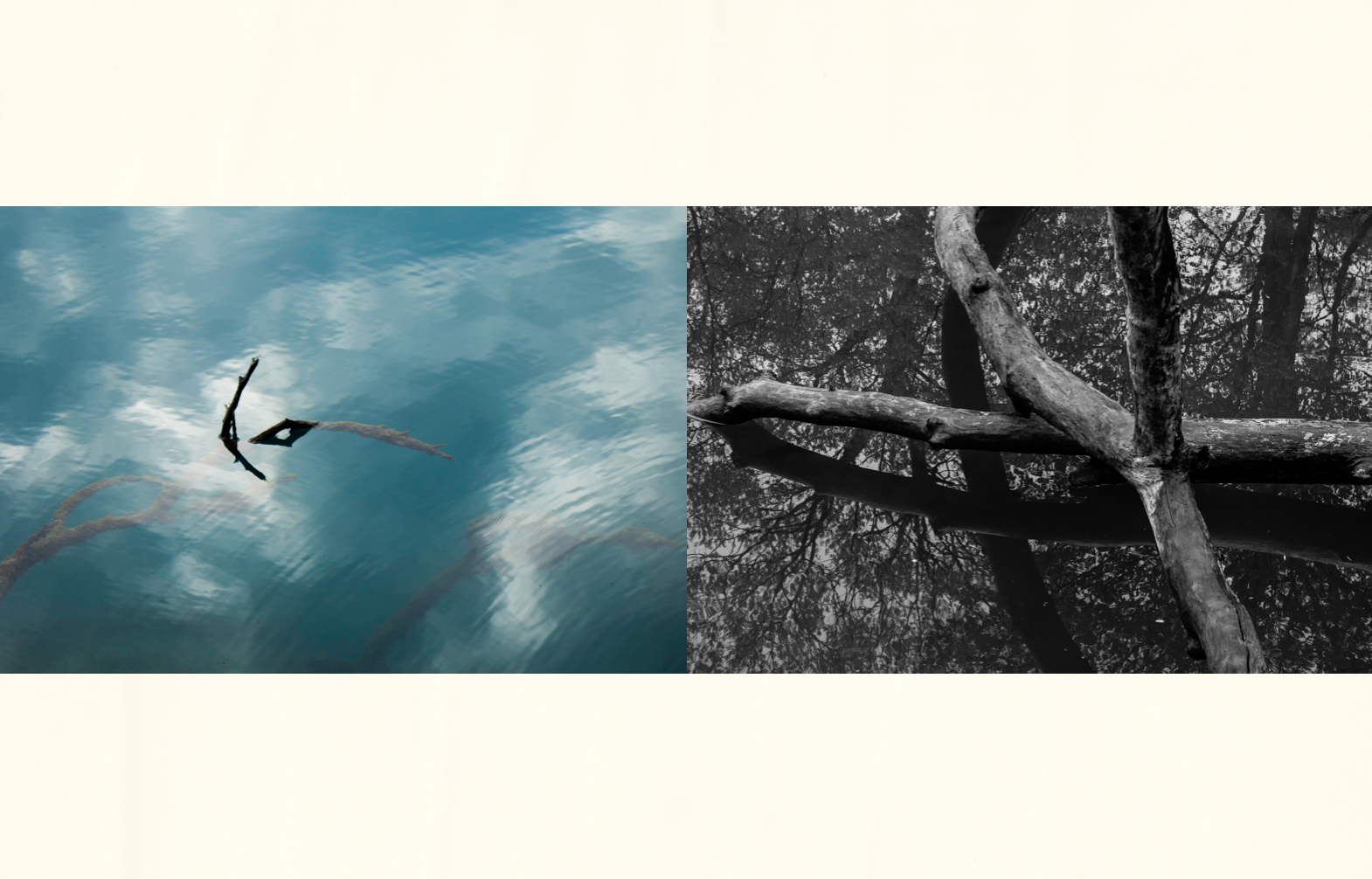 Screen Shot 2022-12-28 at 12.29.16 AM.png