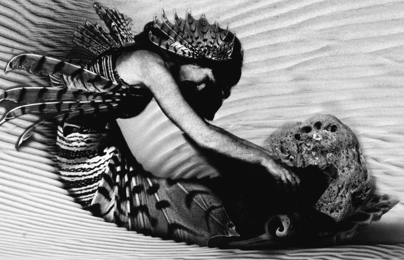 Screen Shot 2022-12-28 at 12.31.33 AM.png