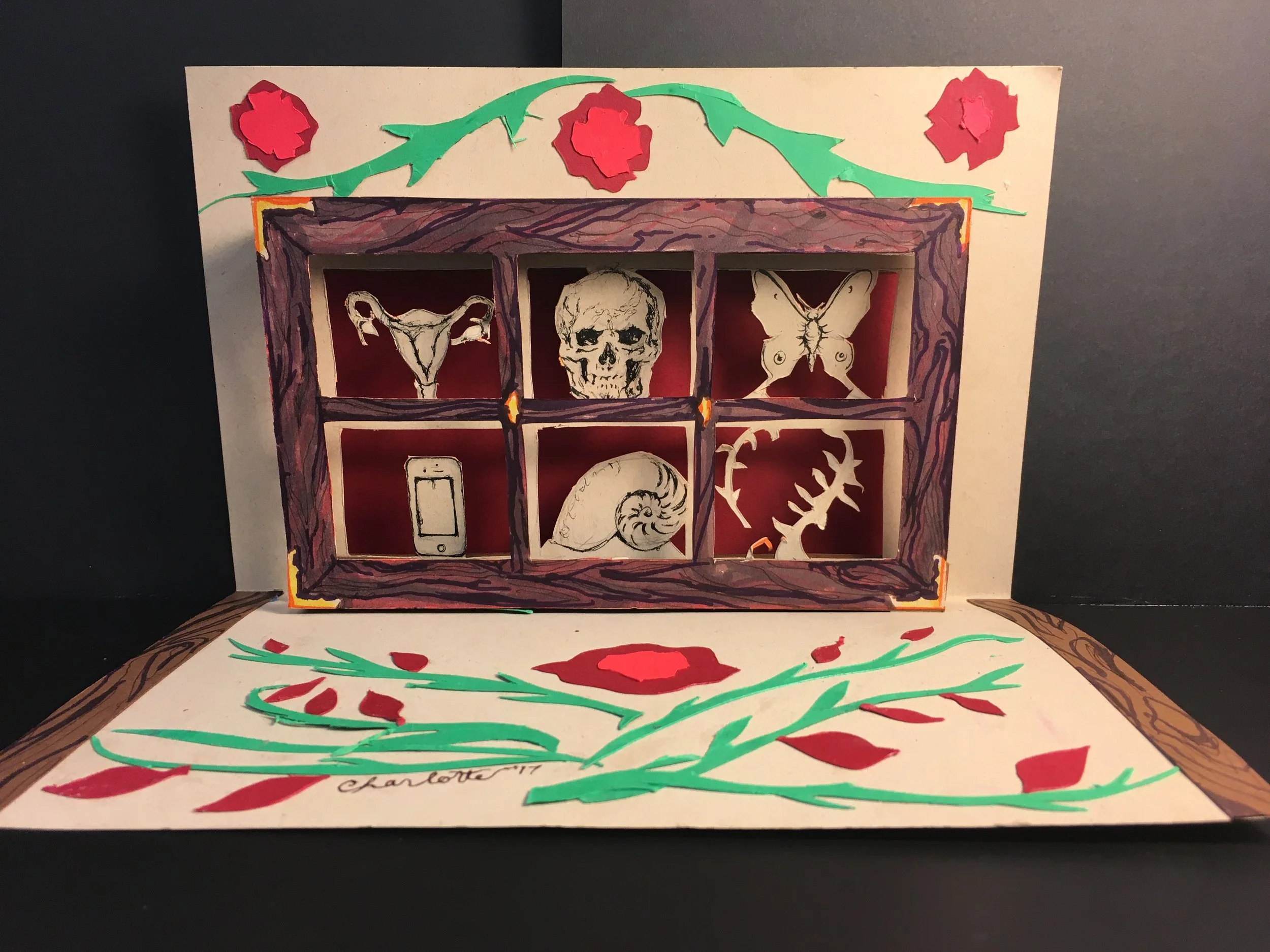 Cabinet of Curiosities
