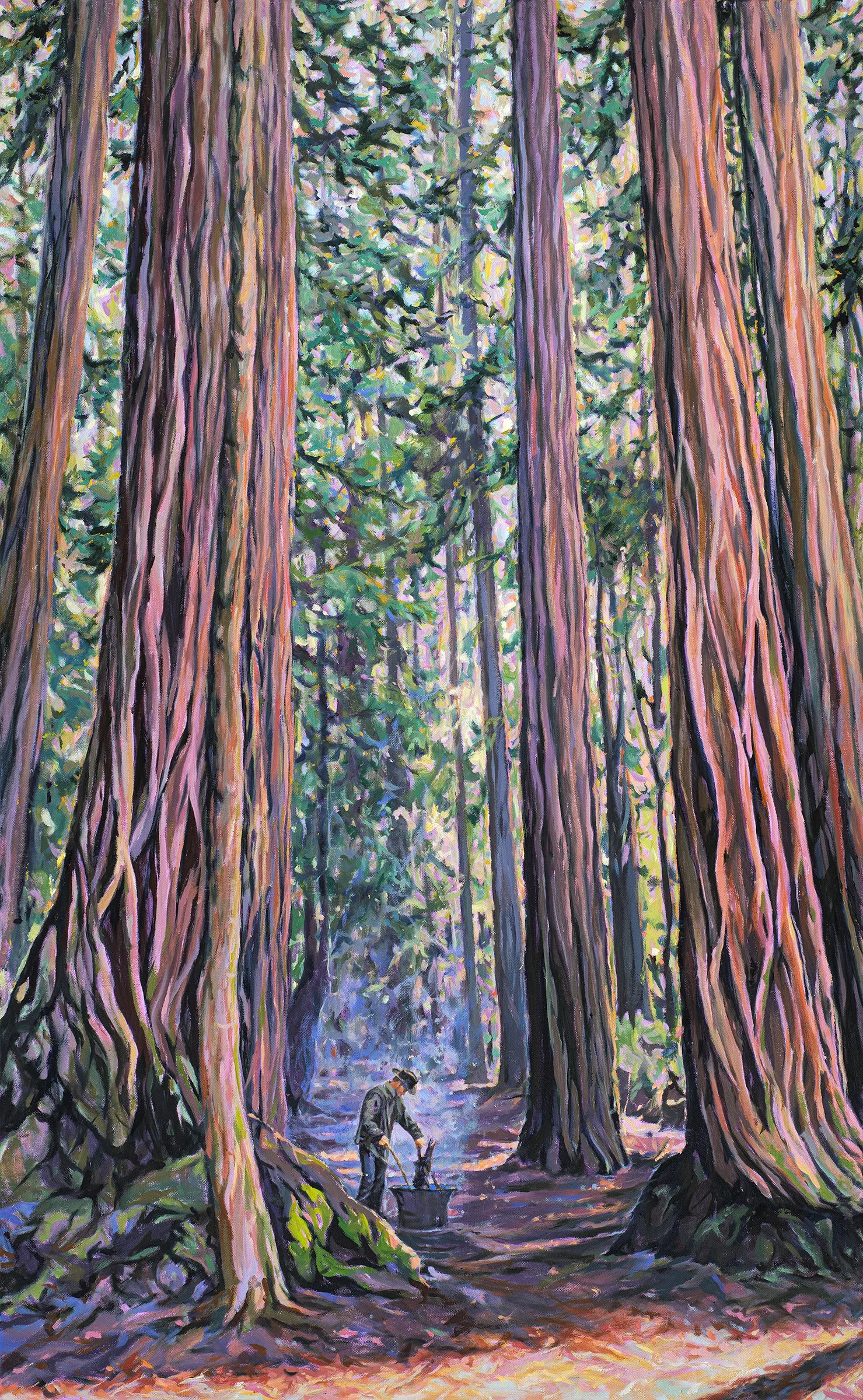 Big Basin Campsite.jpg