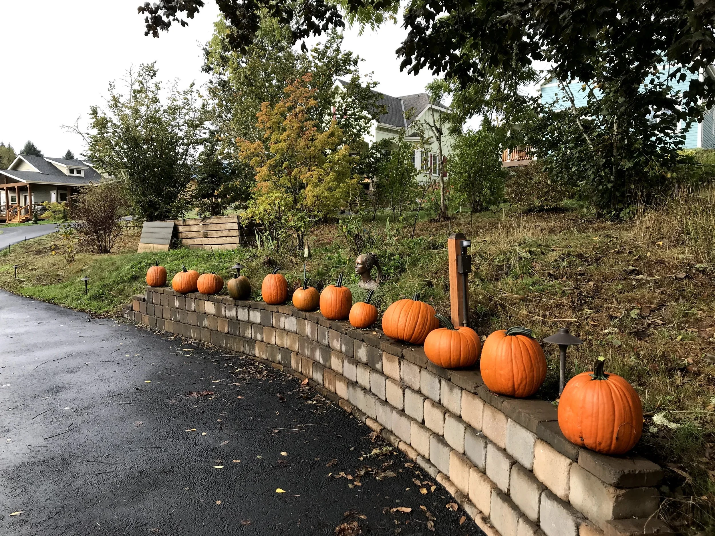 Path to membership.jpeg