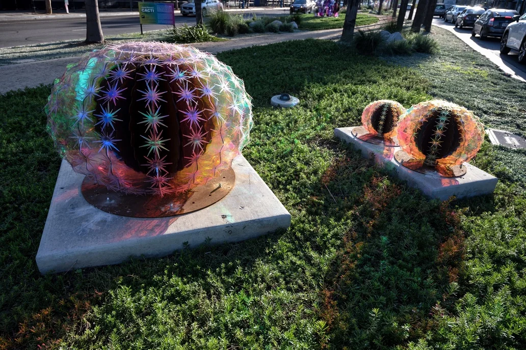 PETERSON_CACTI_BARREL.jpg
