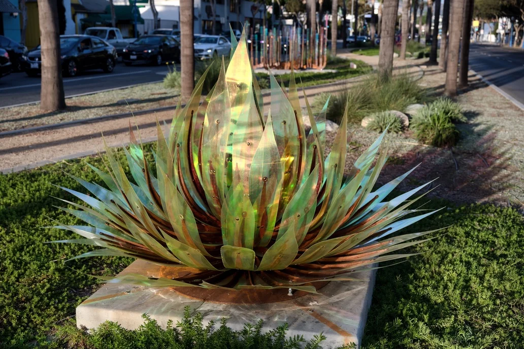 PETERSON_CACTI_AGAVE.jpg