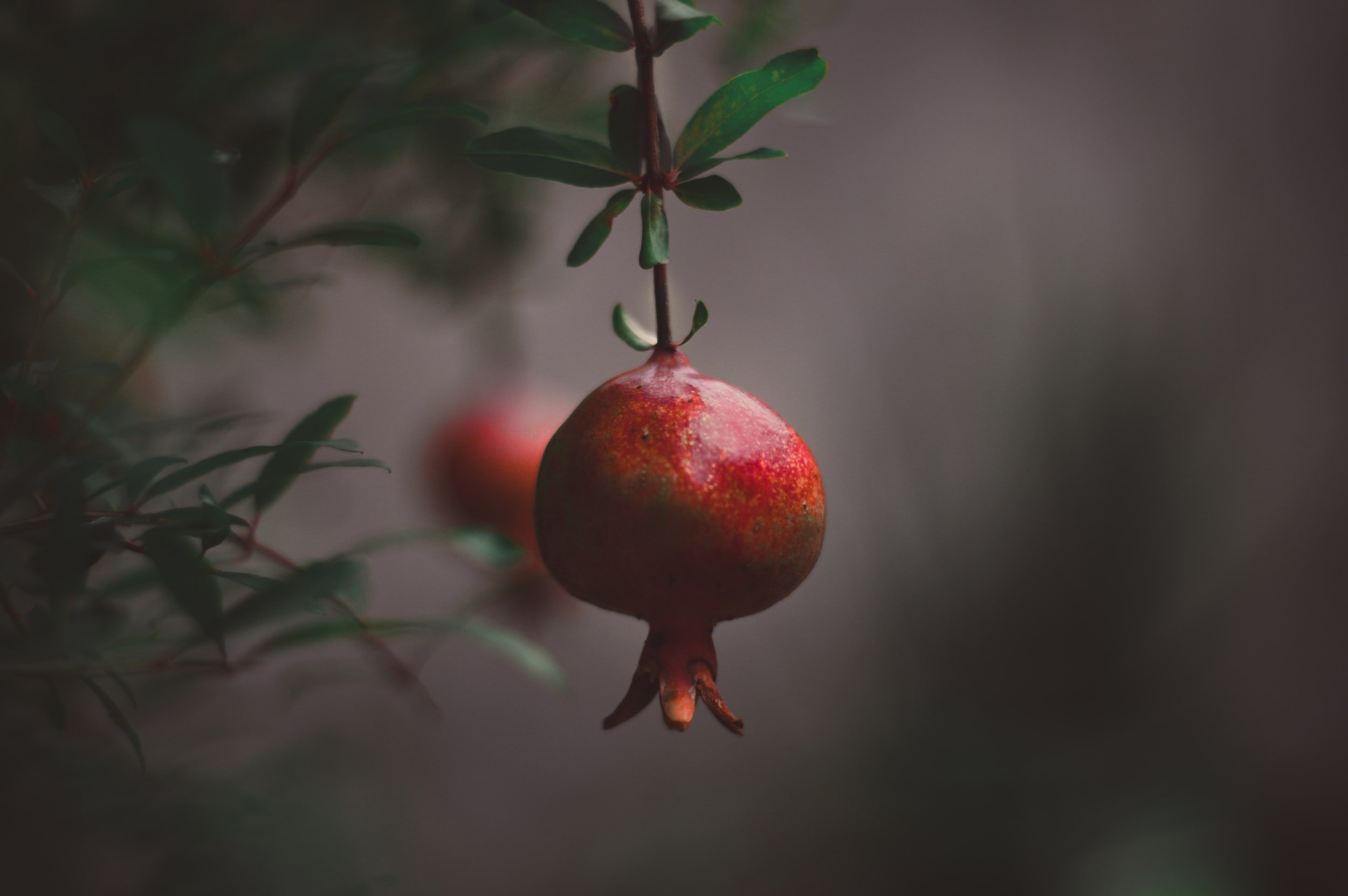 unsplash-image-ZB9Wqygiqzc.jpg