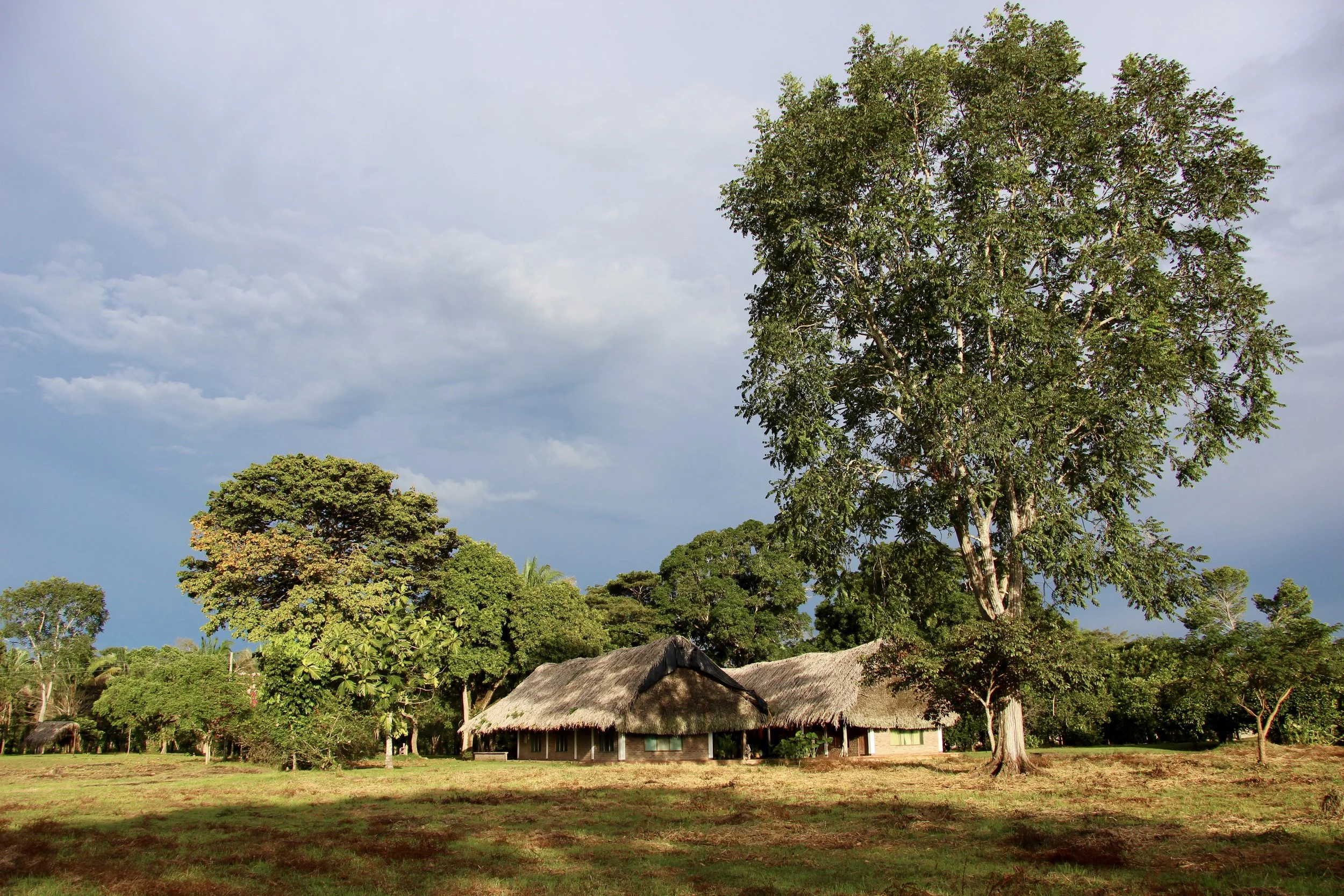 Here’s the property we stayed at. The only neighbors they have are the howler monkeys!