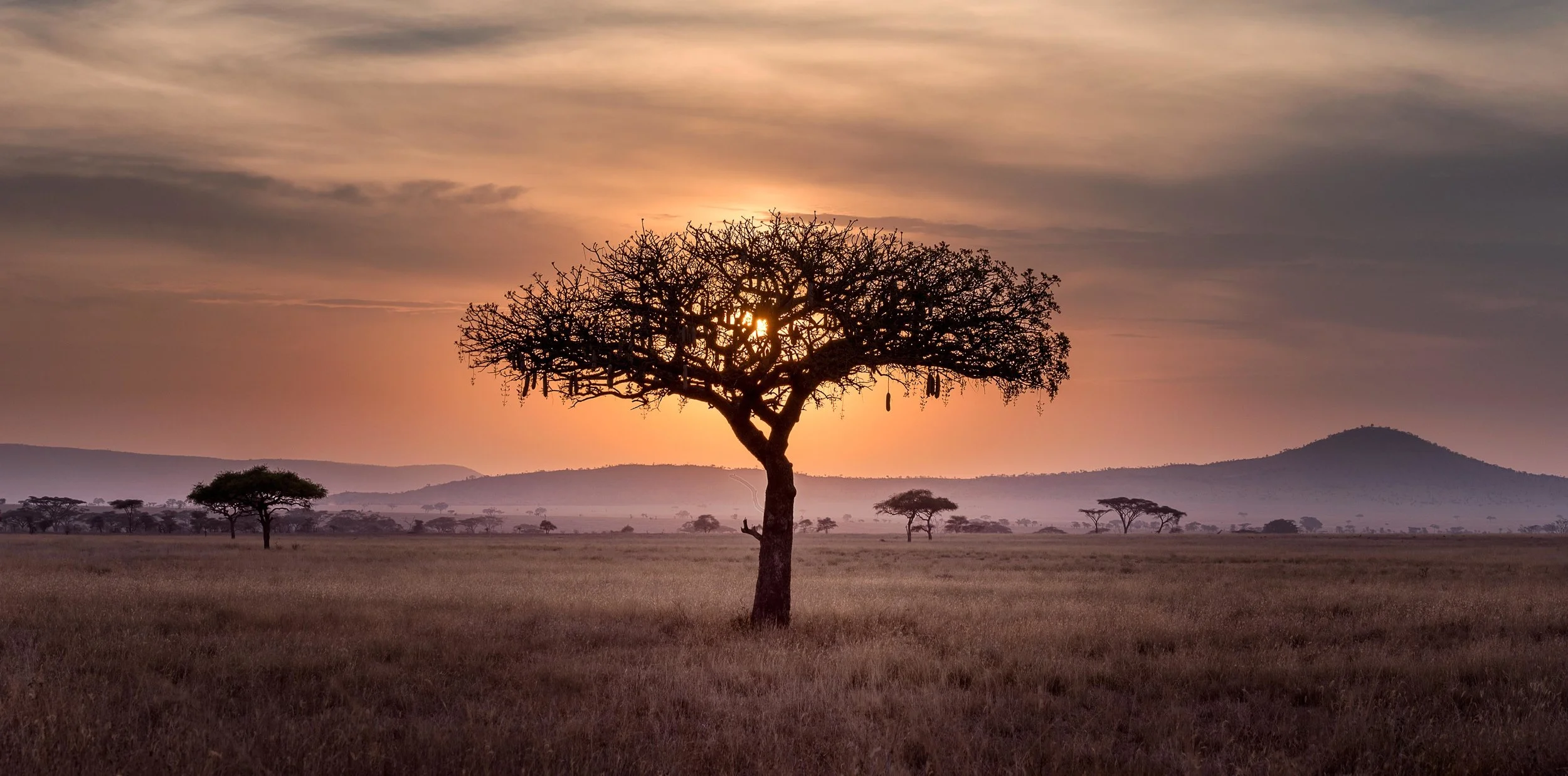africa.jpg