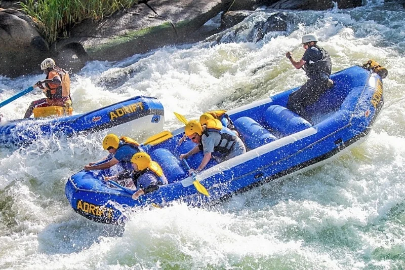 nile_uganda_foreign_domestic.jpg