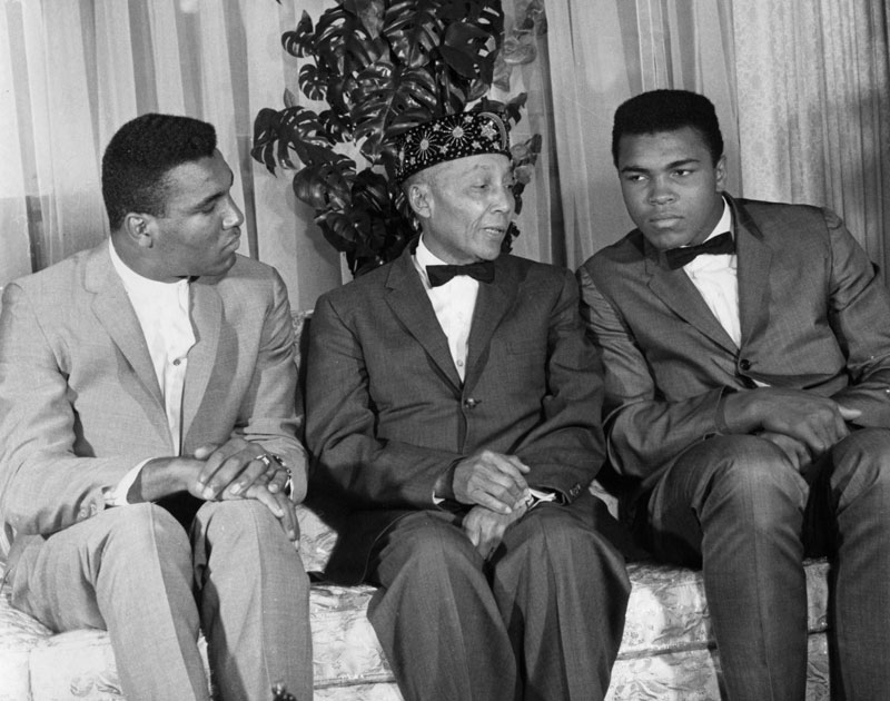 Ali008.jpg