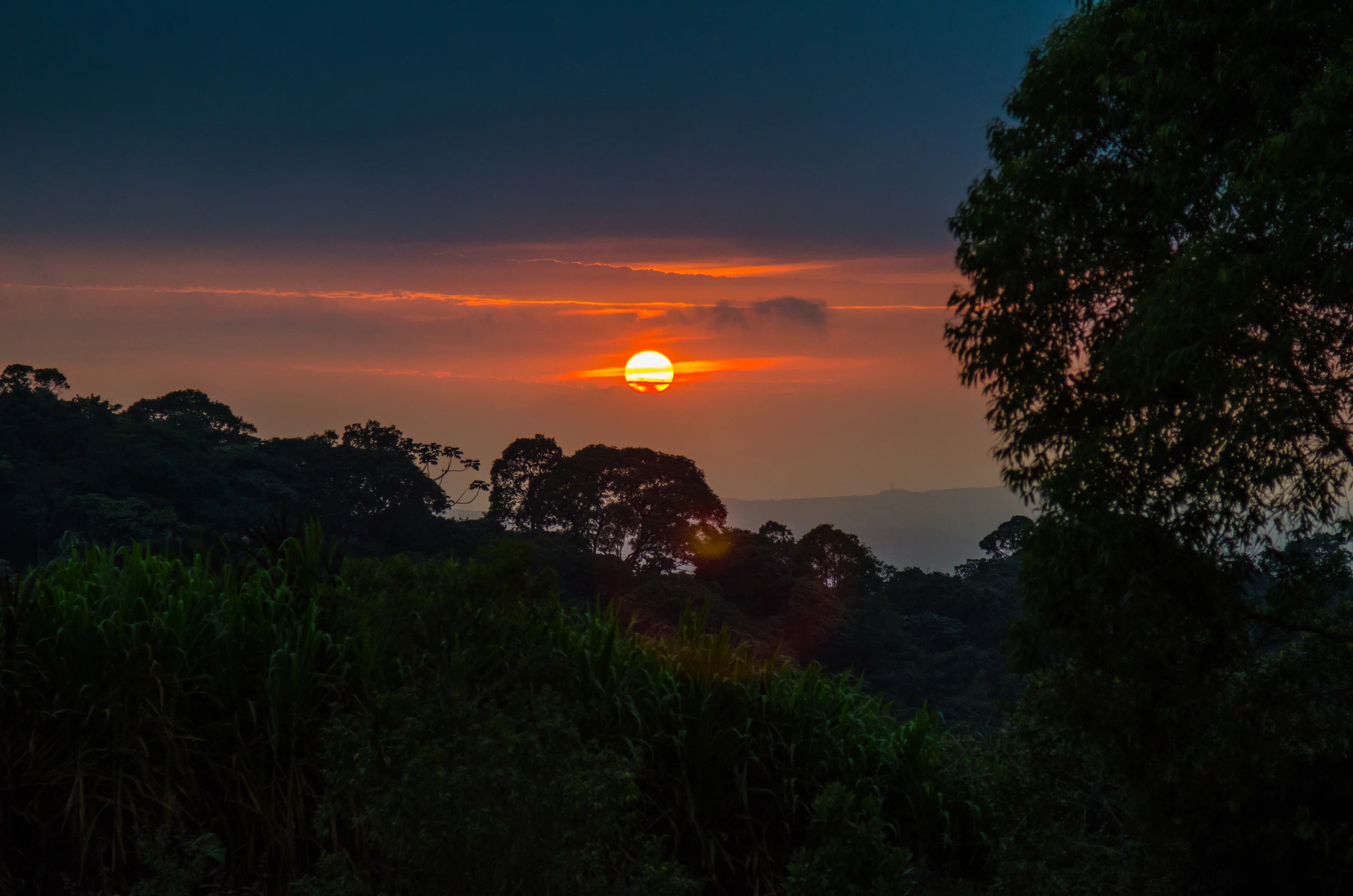 Sunrise