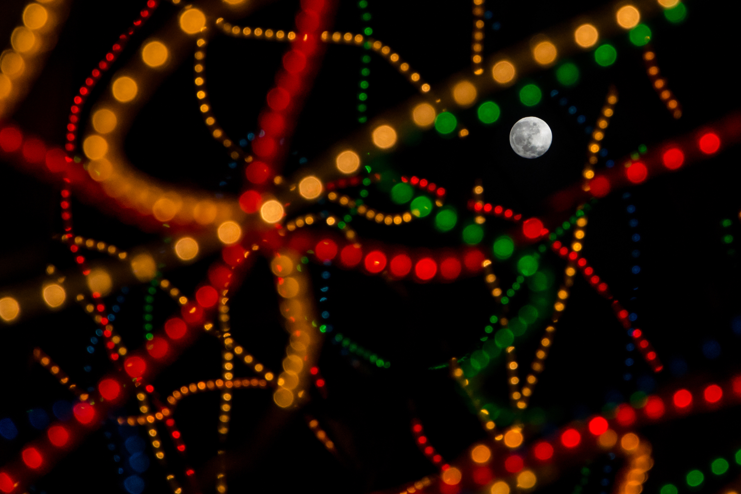 Christmas lights and moon