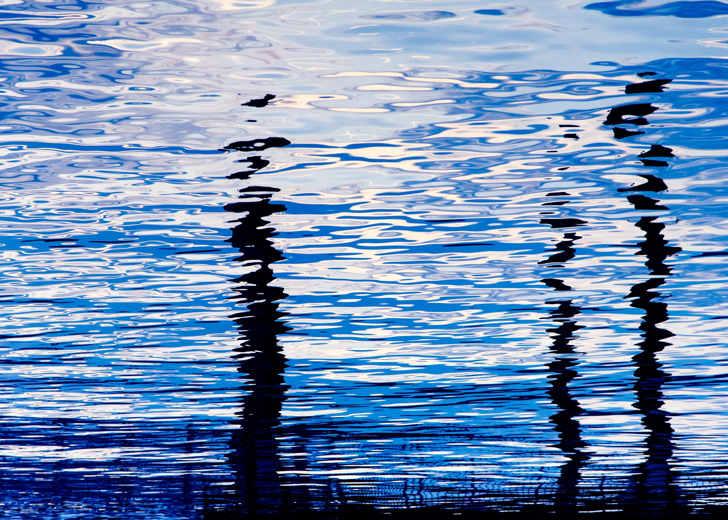 Distorted