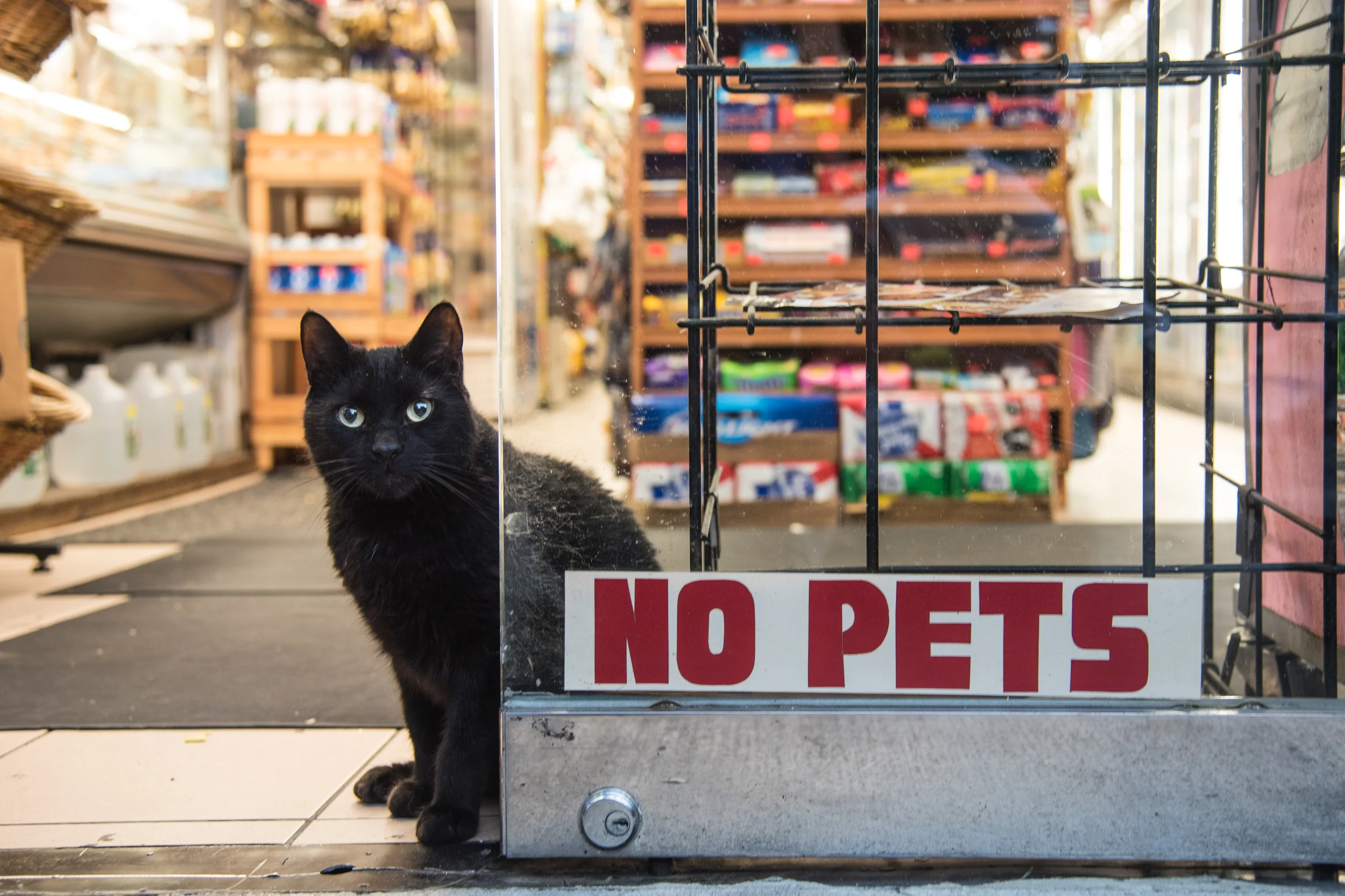 East Village