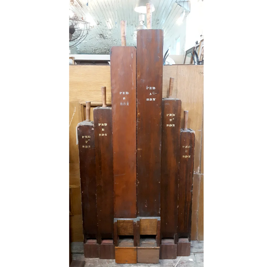 0981 Large Organ Display.jpg