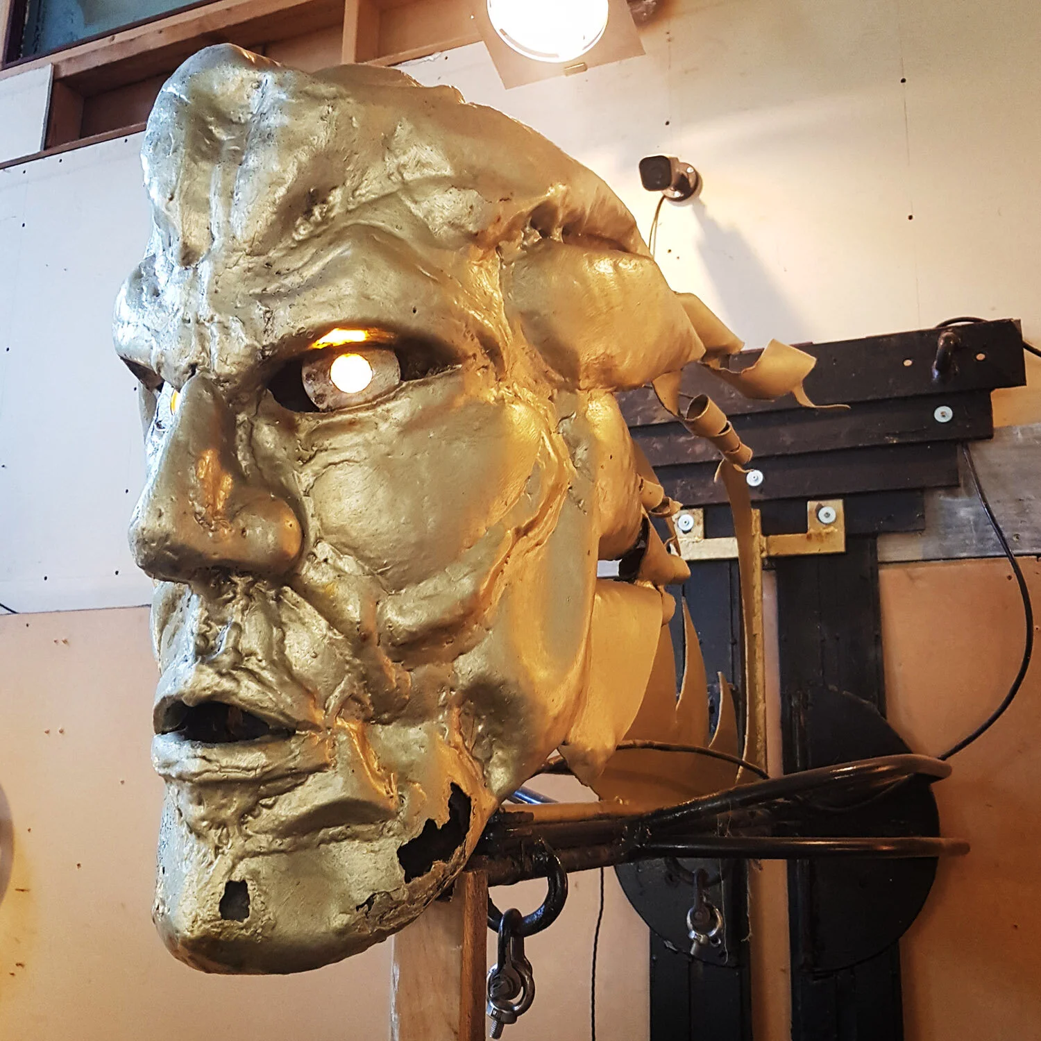 head sculpture display from Edinburgh pub