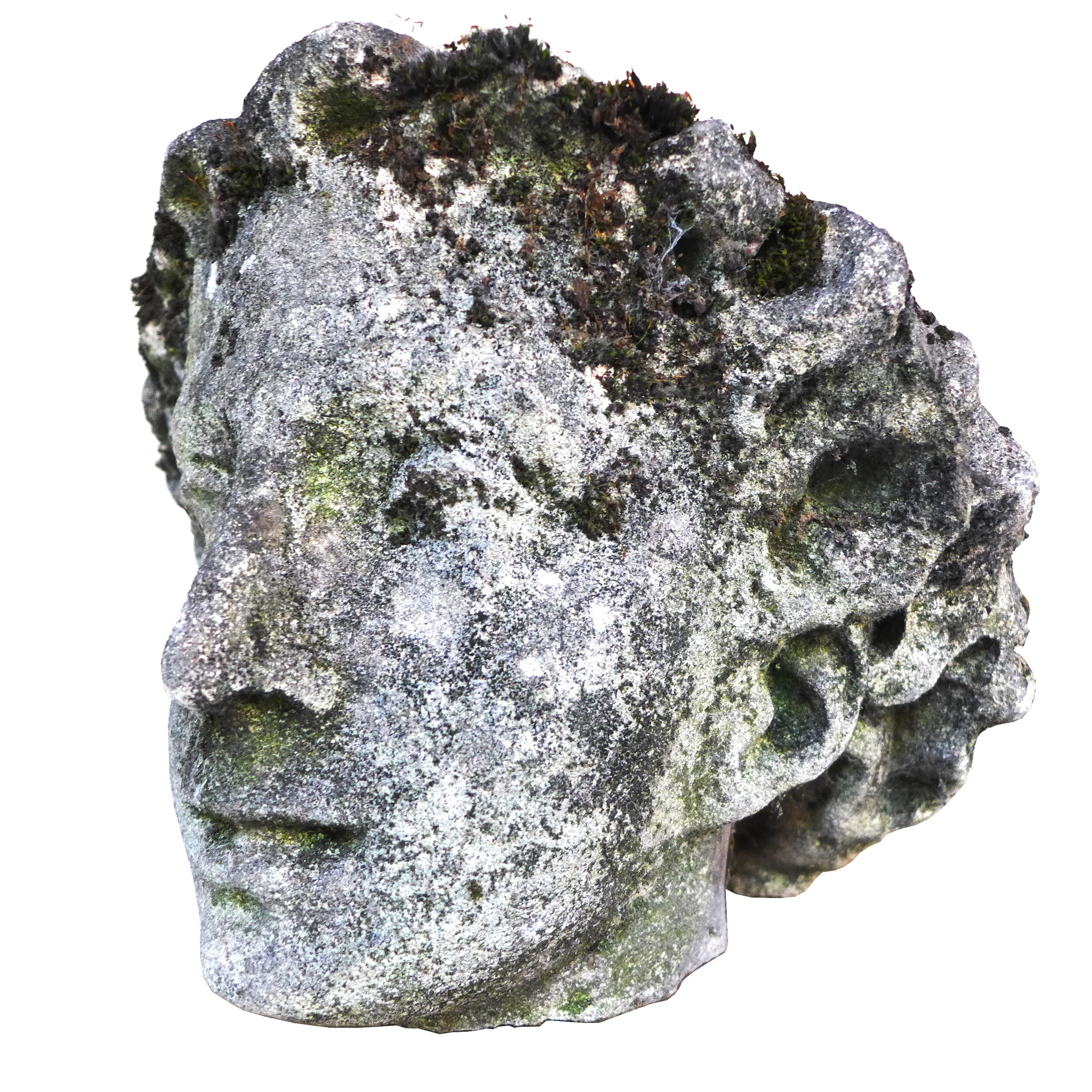 Mosshead.jpg
