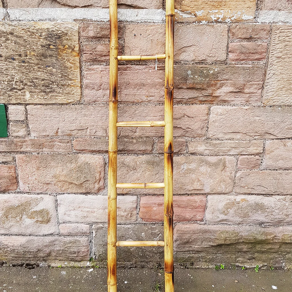 1430 Bamboo Ladder.jpg