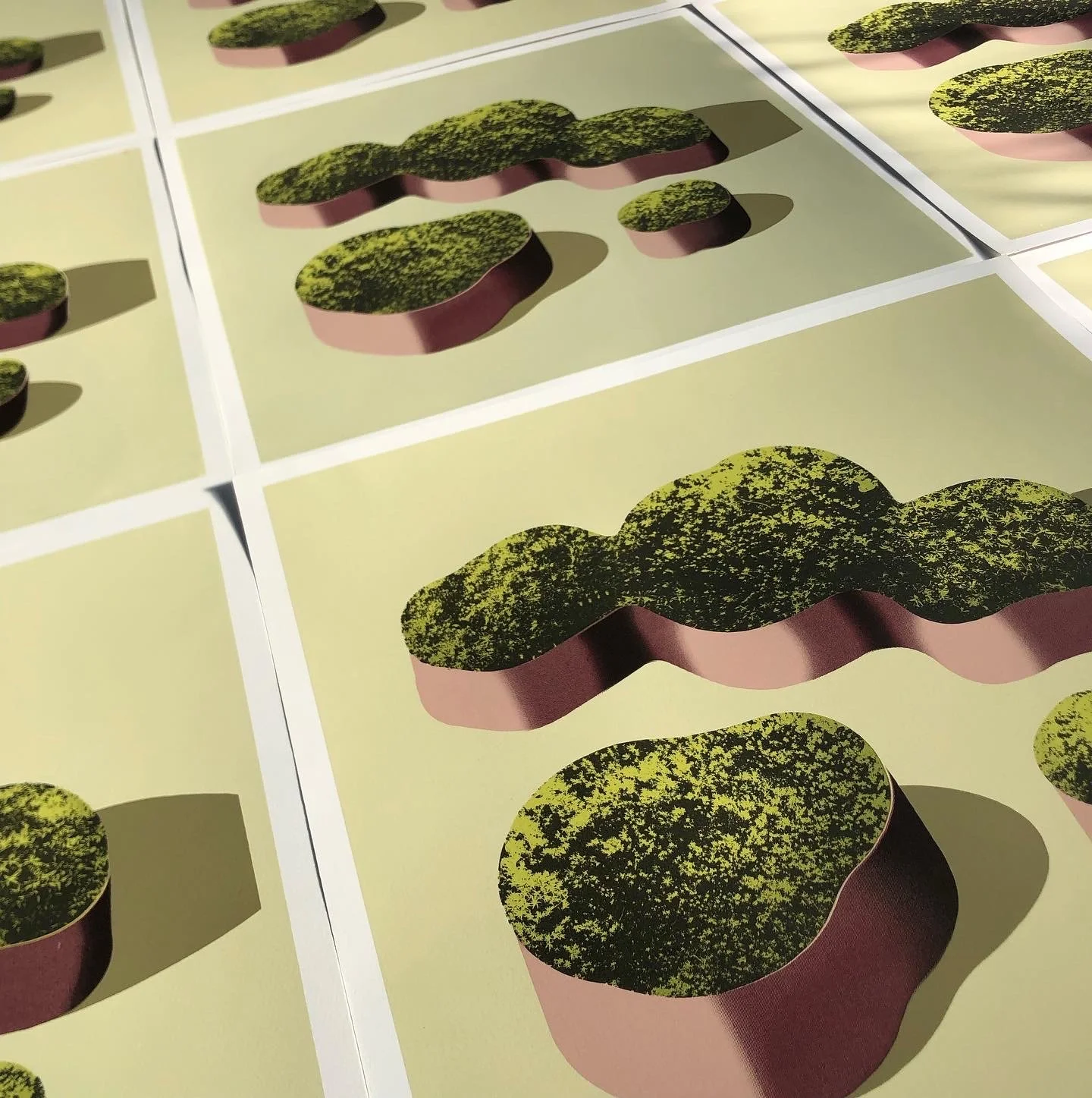 7CEA5954-D987-4B9A-A8CF-DC960BA4B510 2.JPG