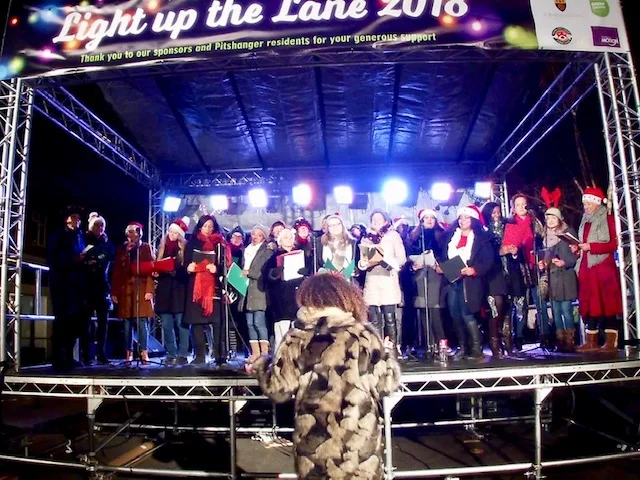 Light up the Lane - Pitshanger Lane, Ealing.