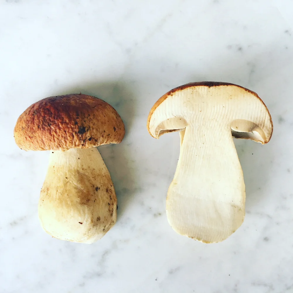 How to Choose, Clean and Store Fresh Porcini Mushrooms — Doing Italy