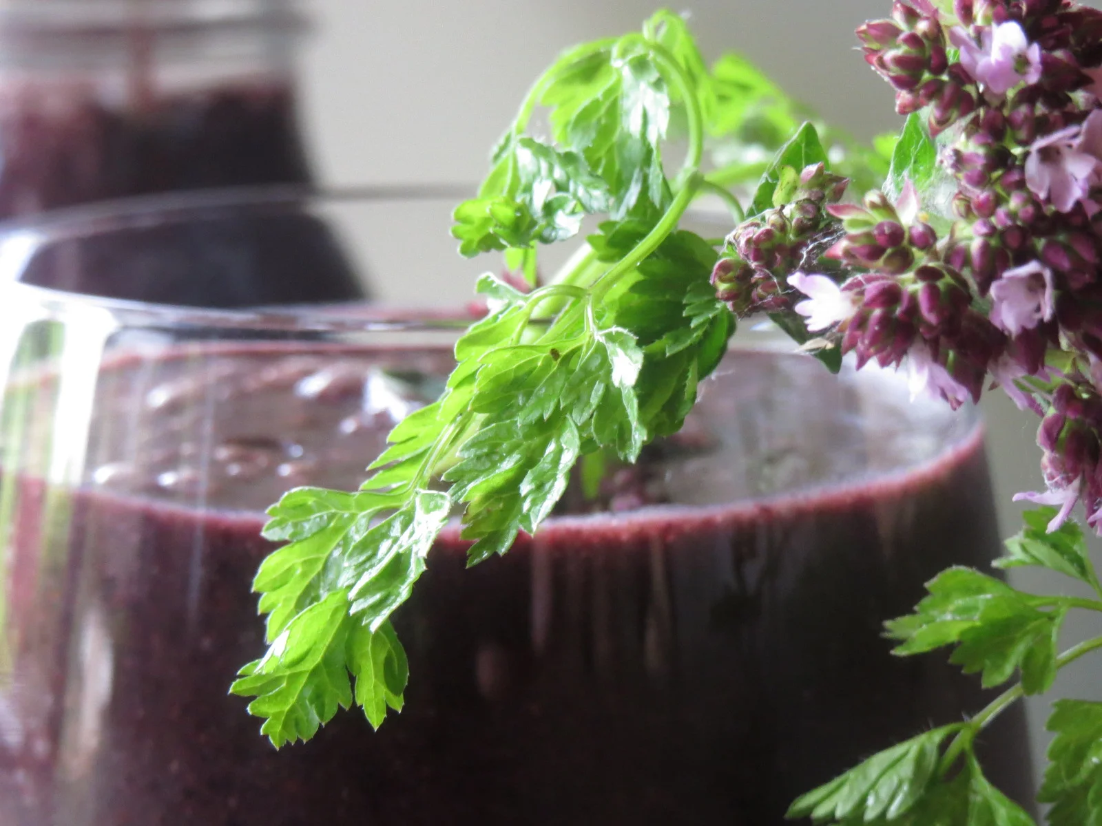 Deep_Purple_Smoothie.JPG
