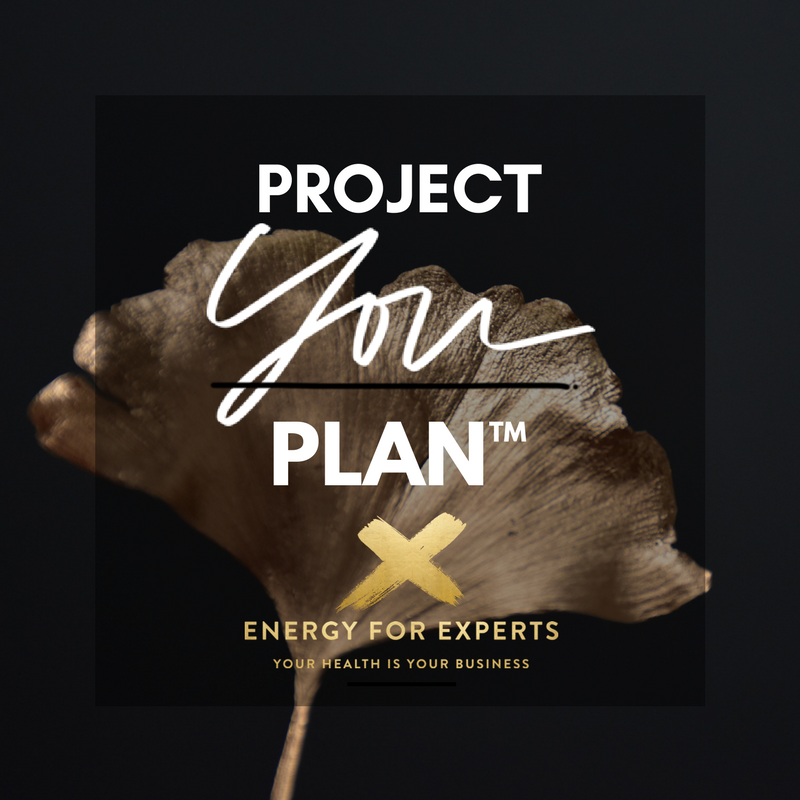 Project you plan.png
