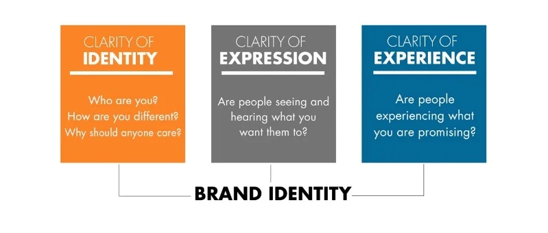 siegelvisionbranding.jpg