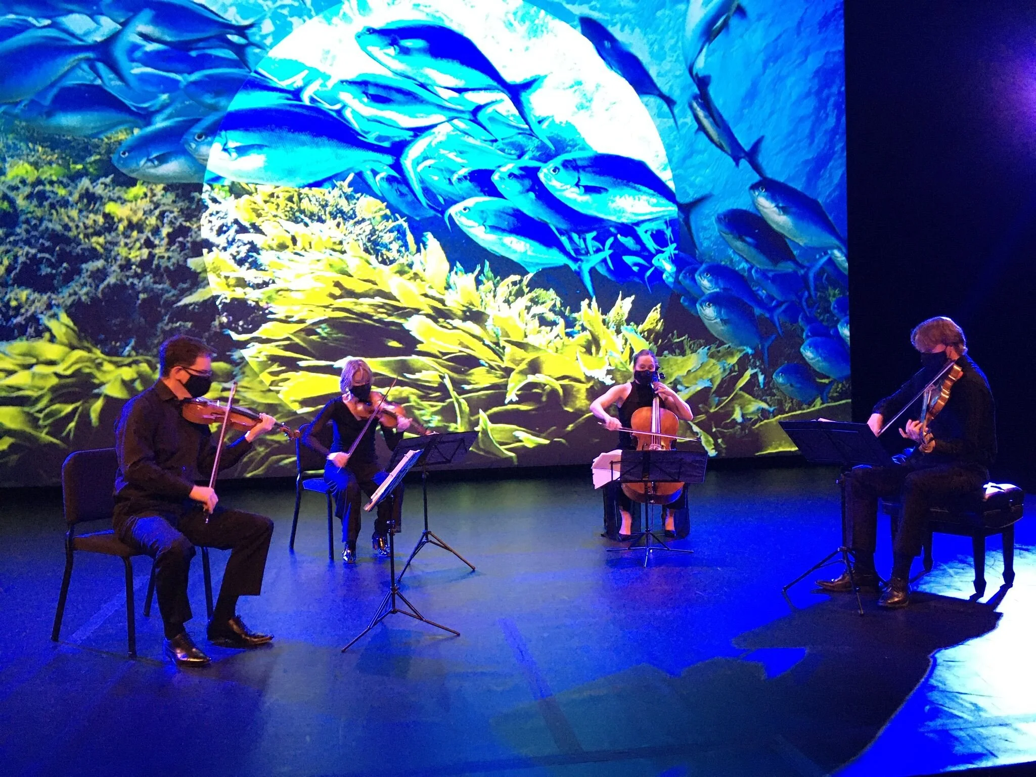 UC Davis Virtual Residency