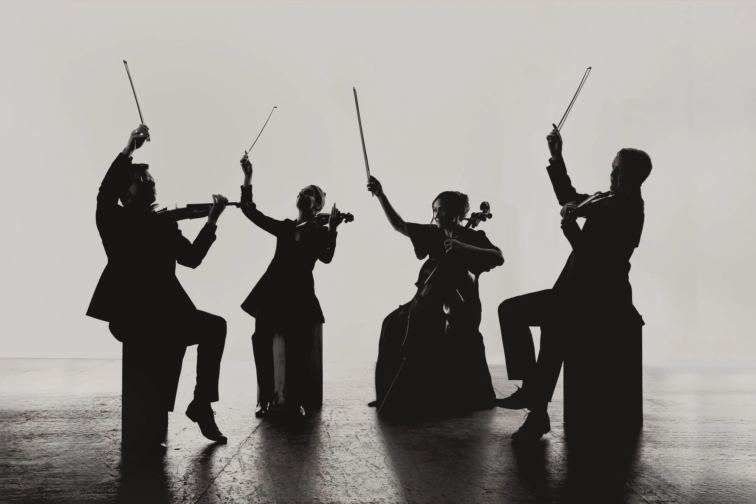  All photos by Duston Todd 