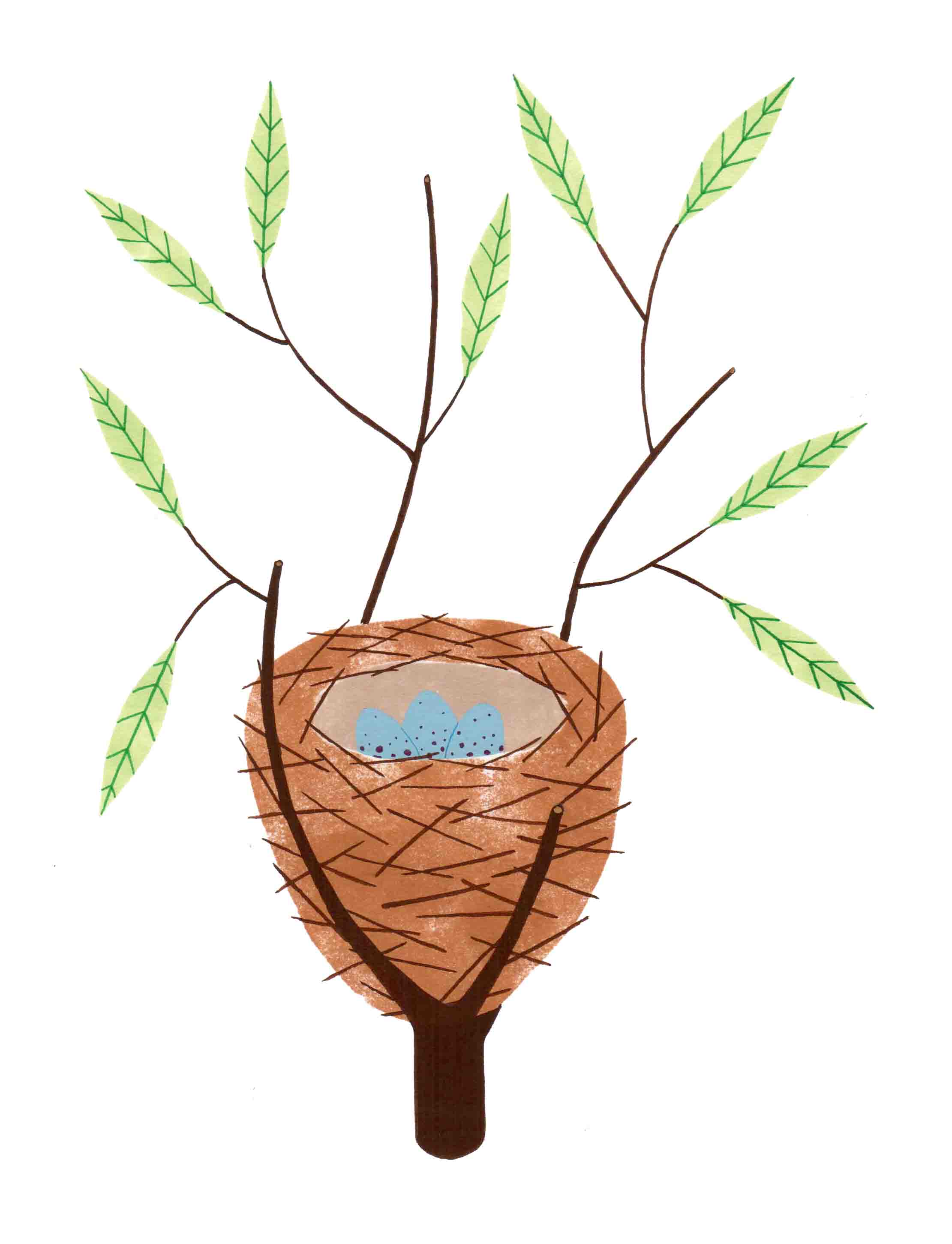 nest.jpg