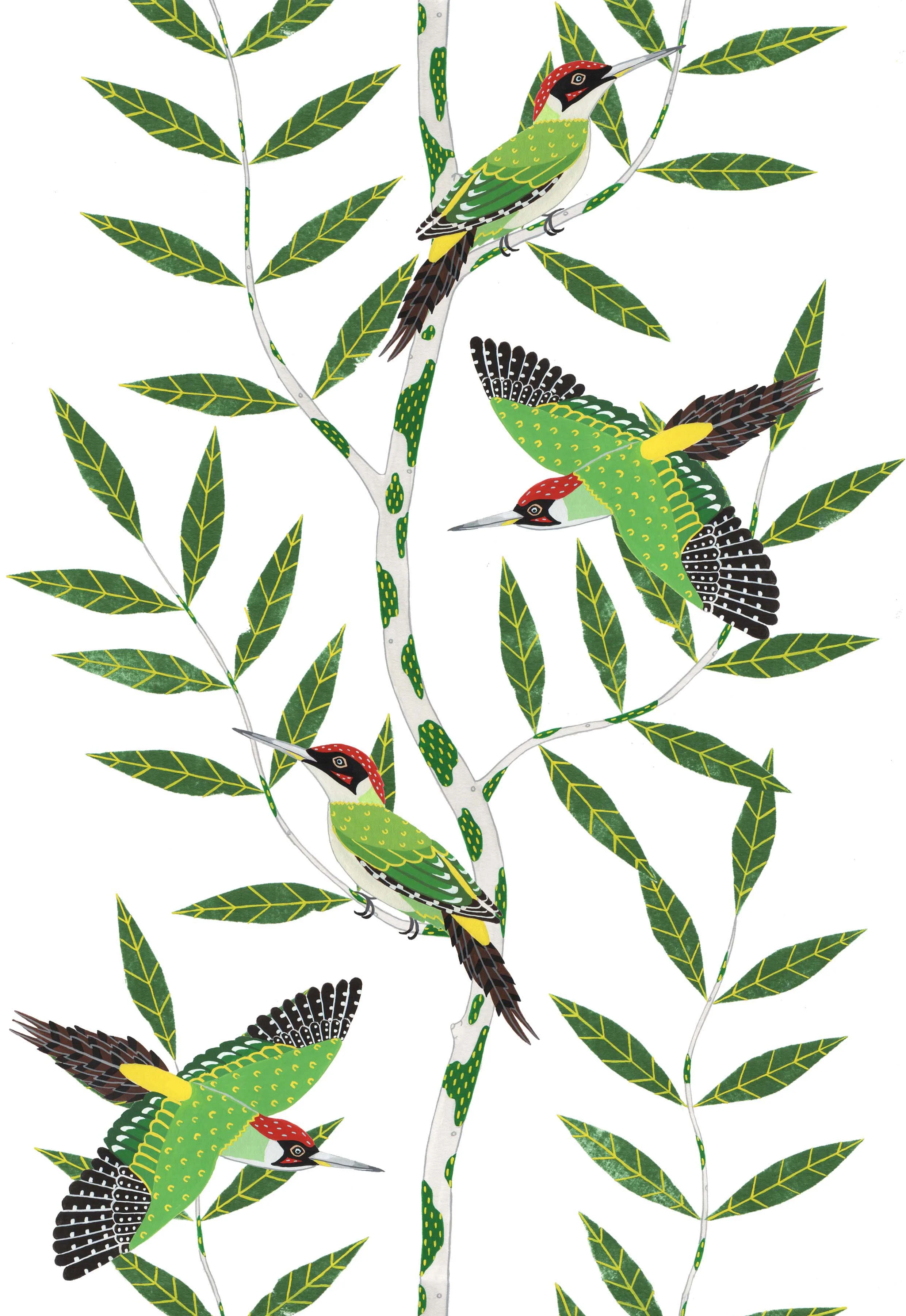 woodpeckers.jpg