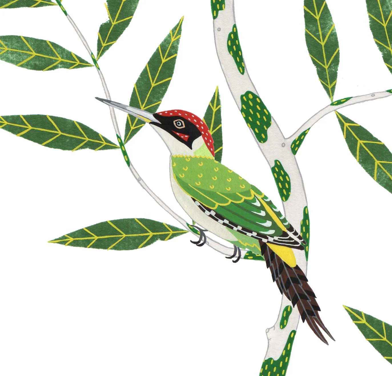 sittingwoodpecker.jpg