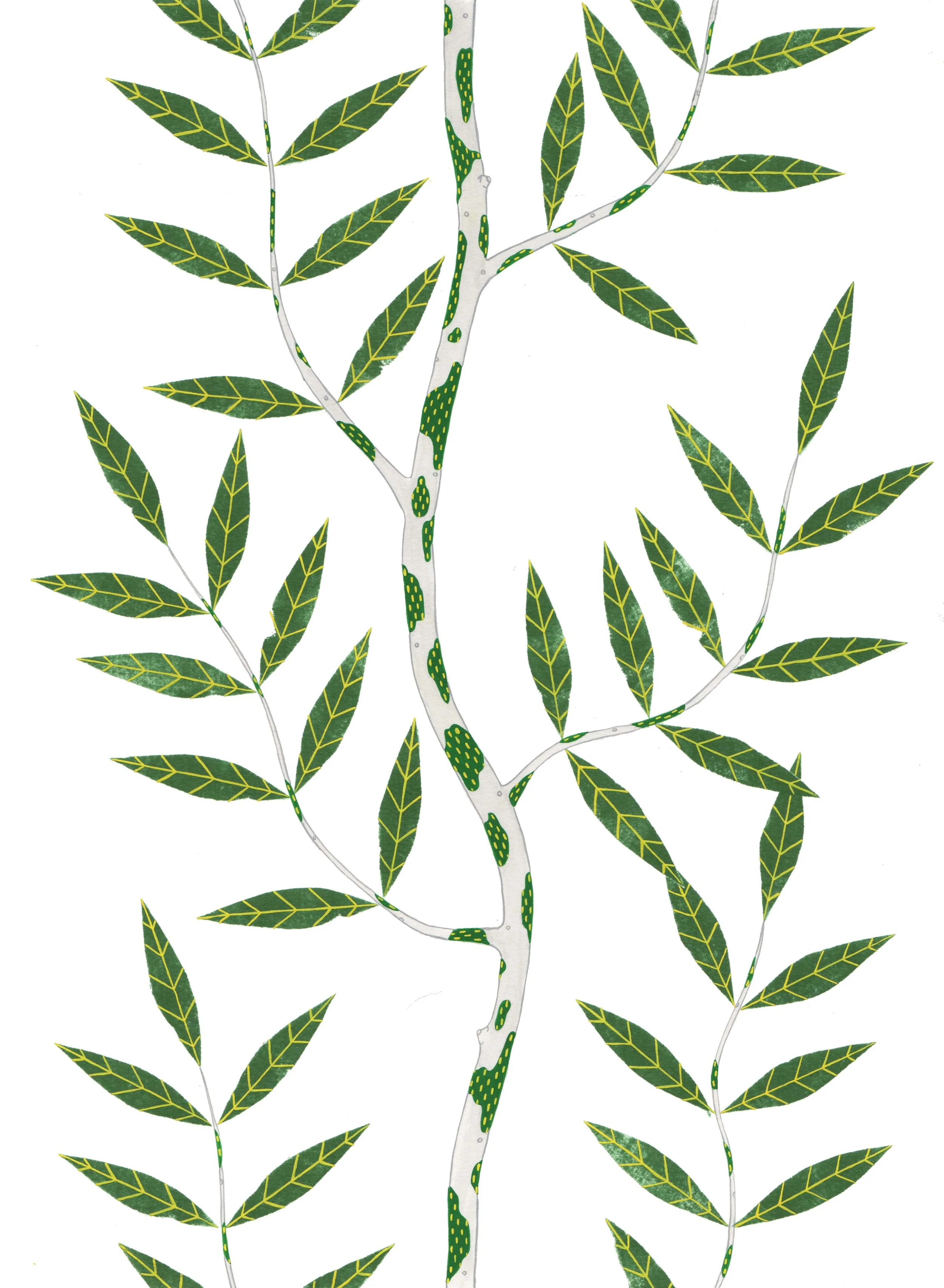 branch copy.jpg