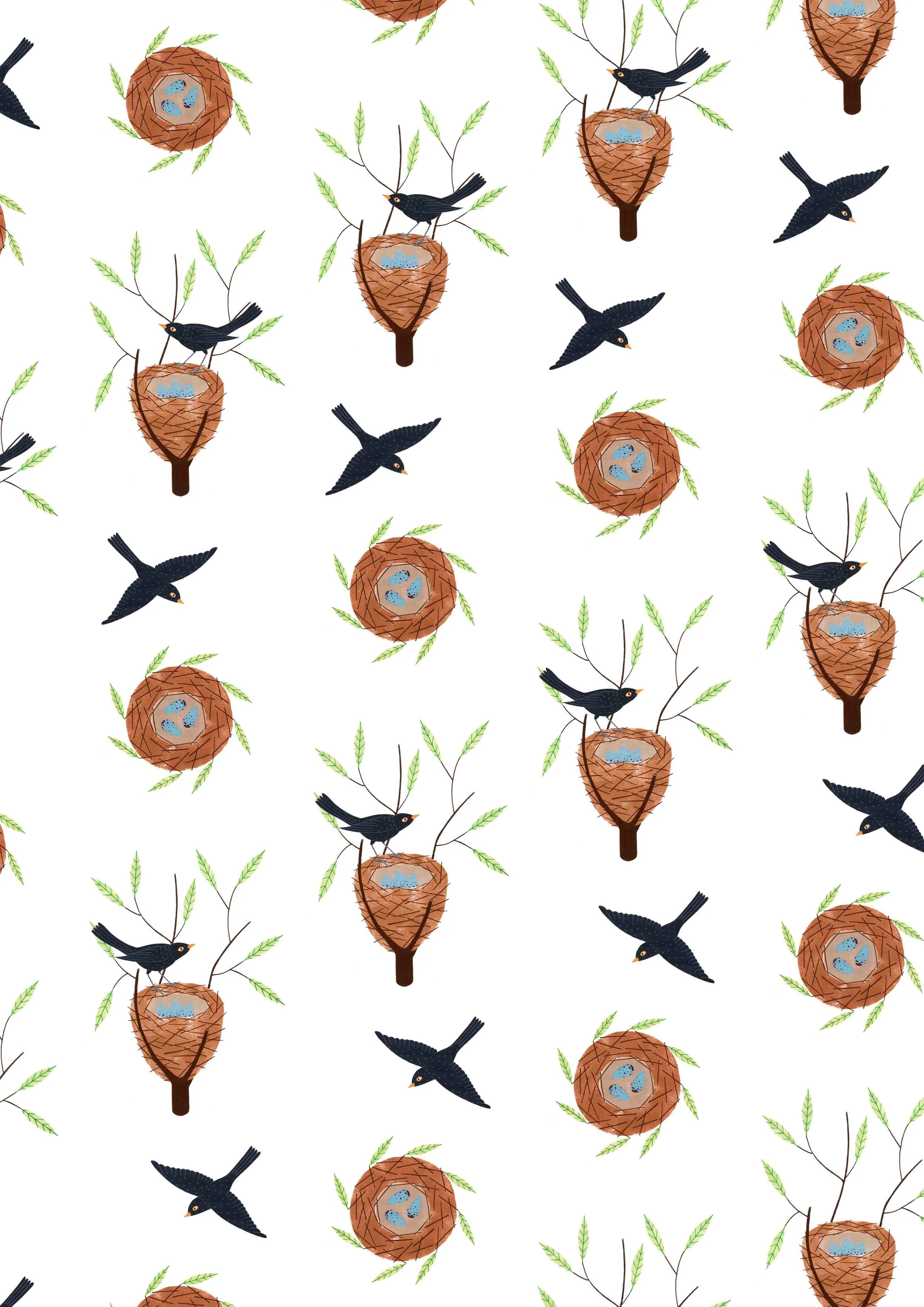 blackbirdpatten copy.jpg