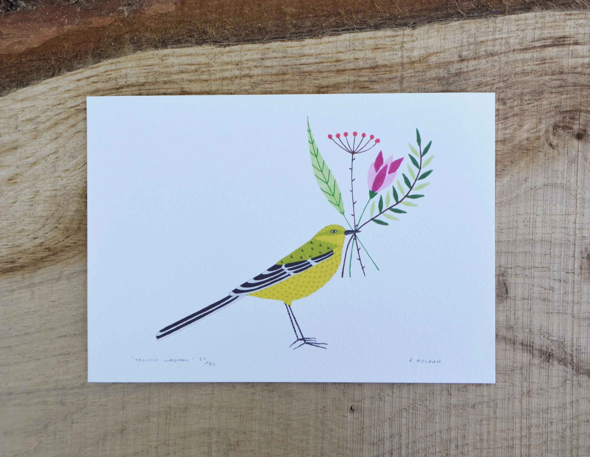 yellow wagtail print.jpg