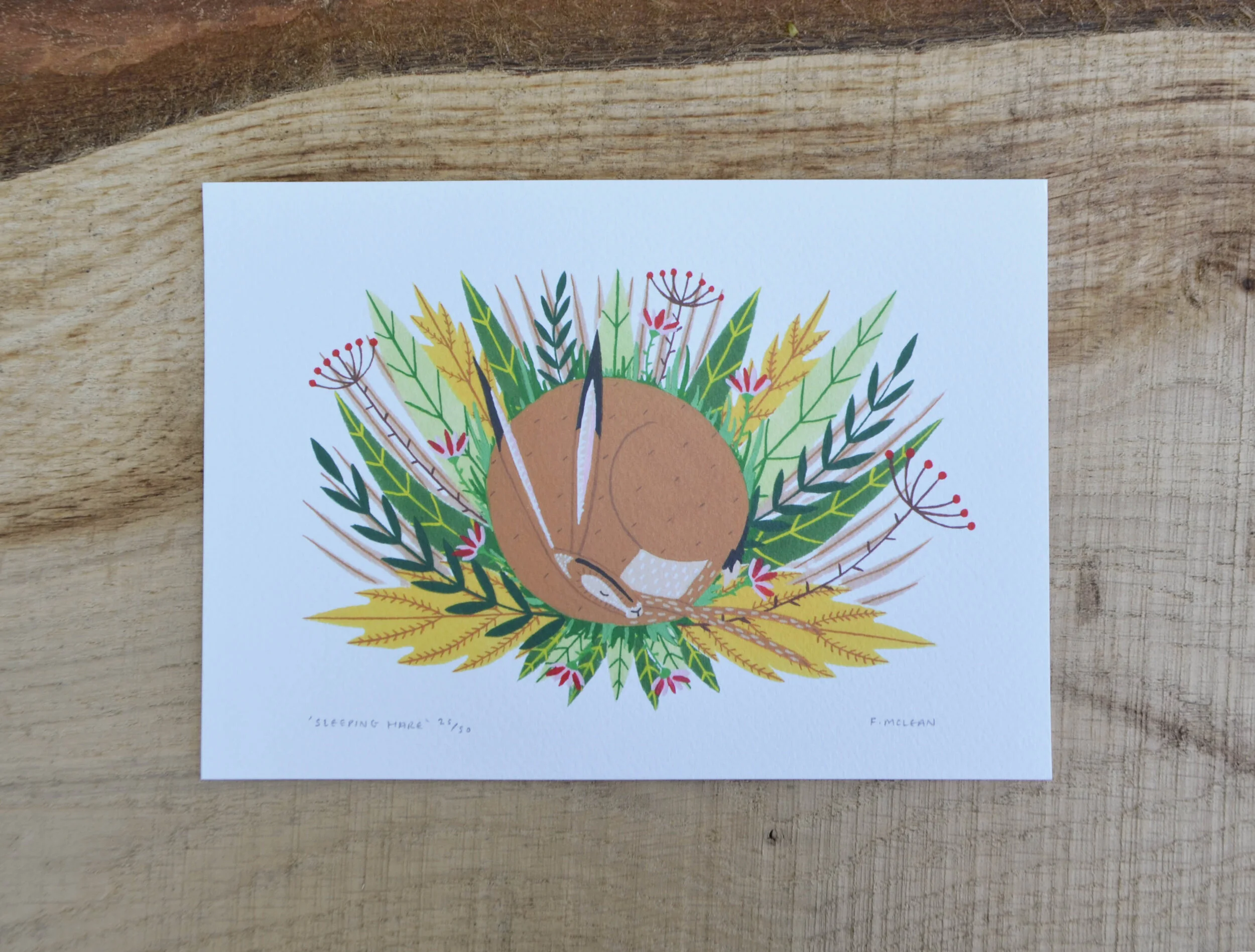 sleeping hare print.jpg