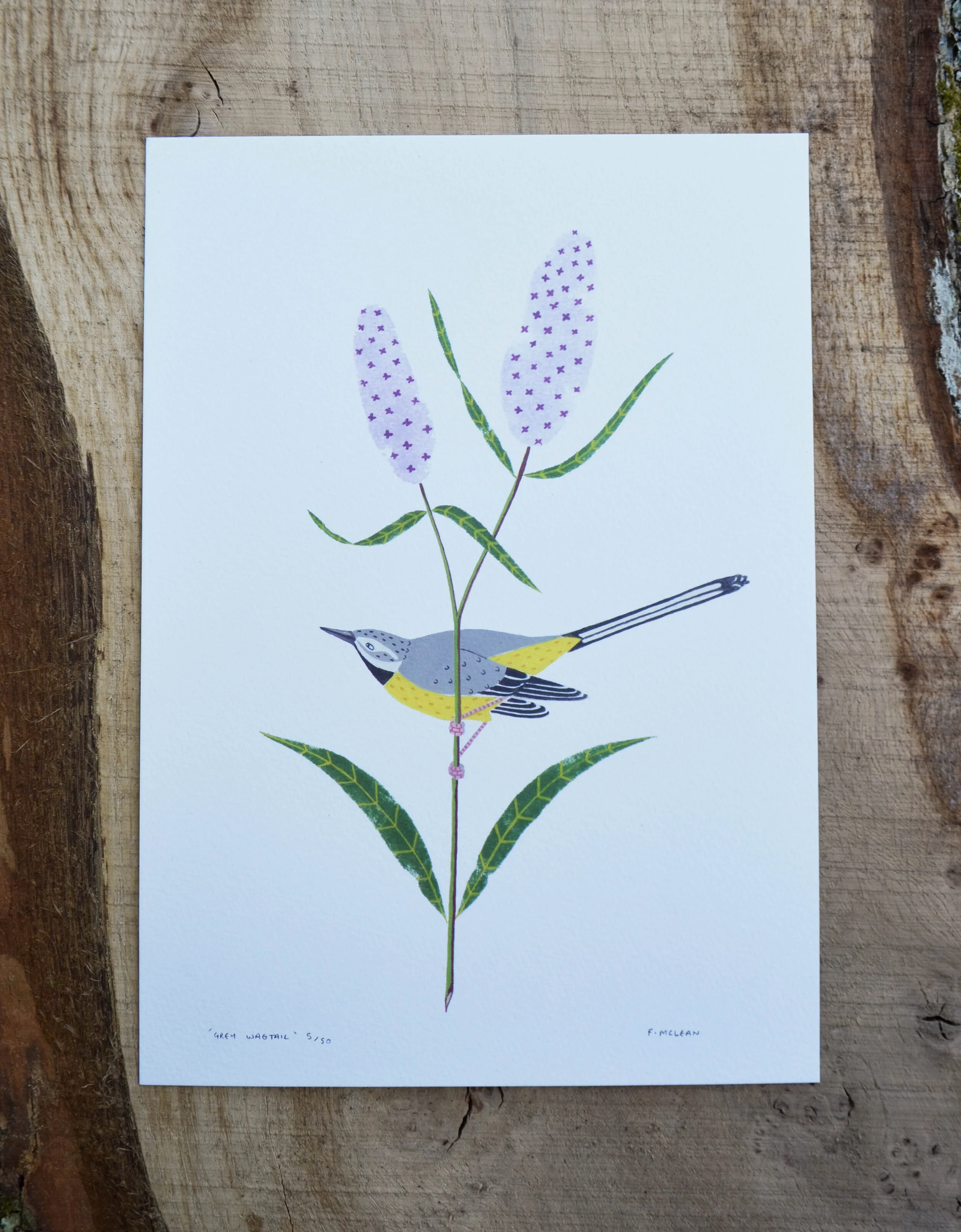Grey Wagtail print.jpg