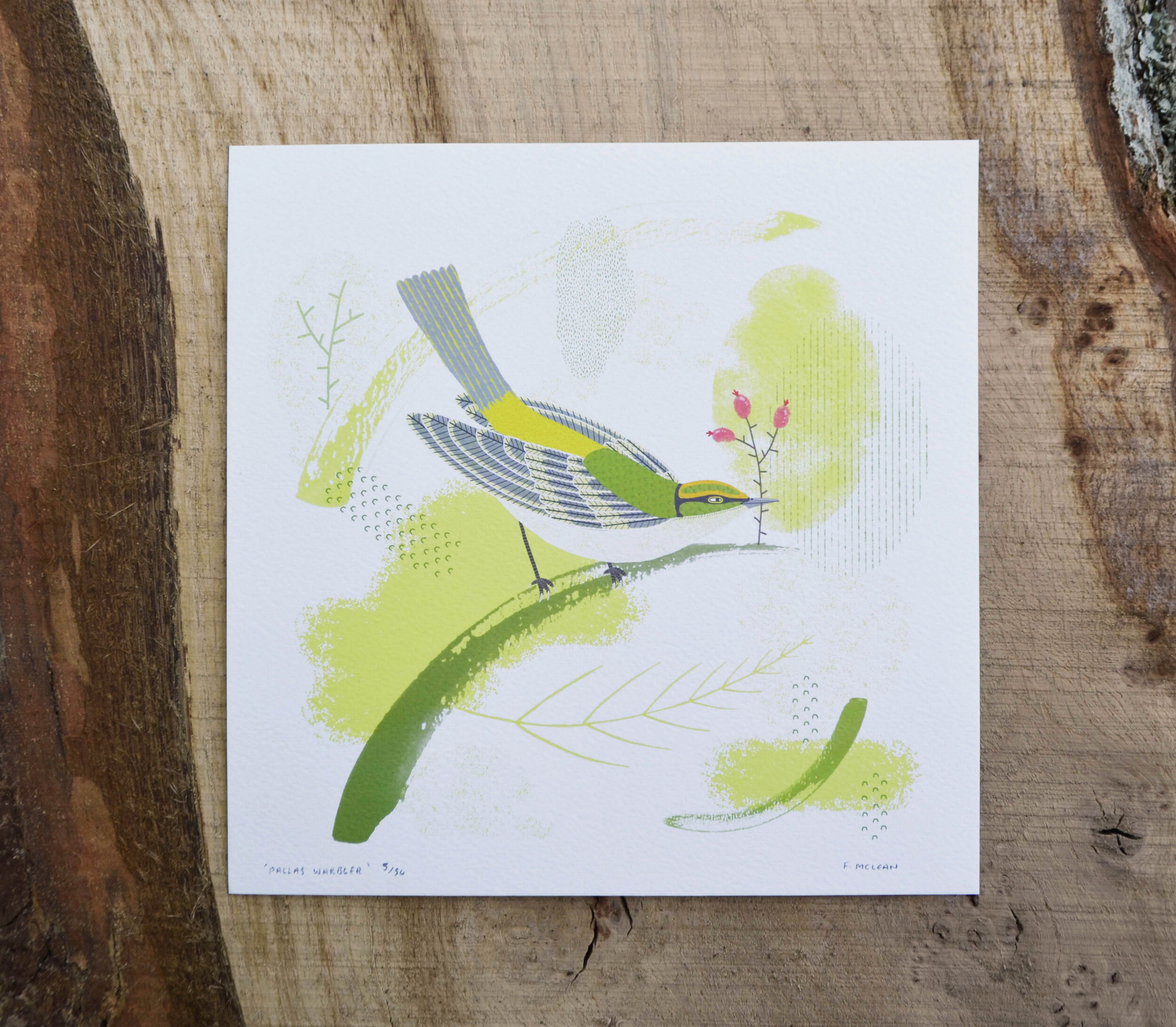 Pallas warbler print2.jpg