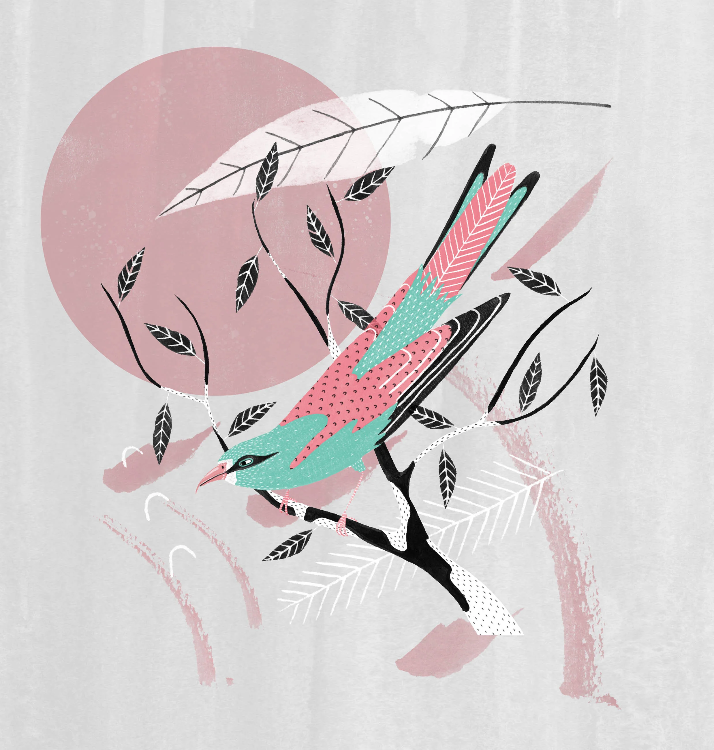 roller+bird+illustration.jpg