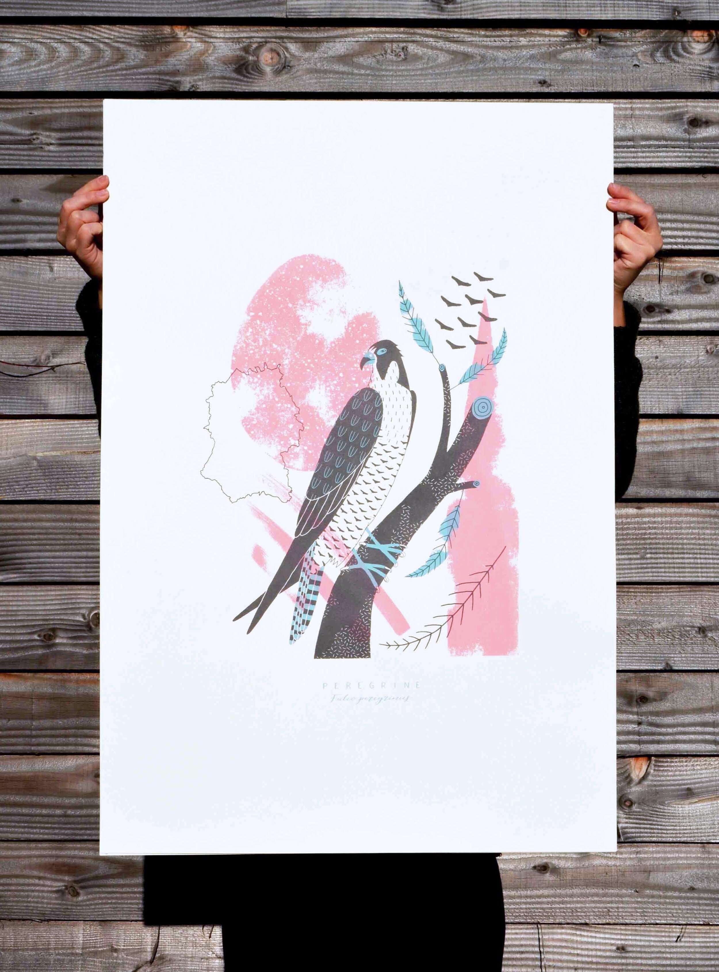 Peregrine screenprint.jpg
