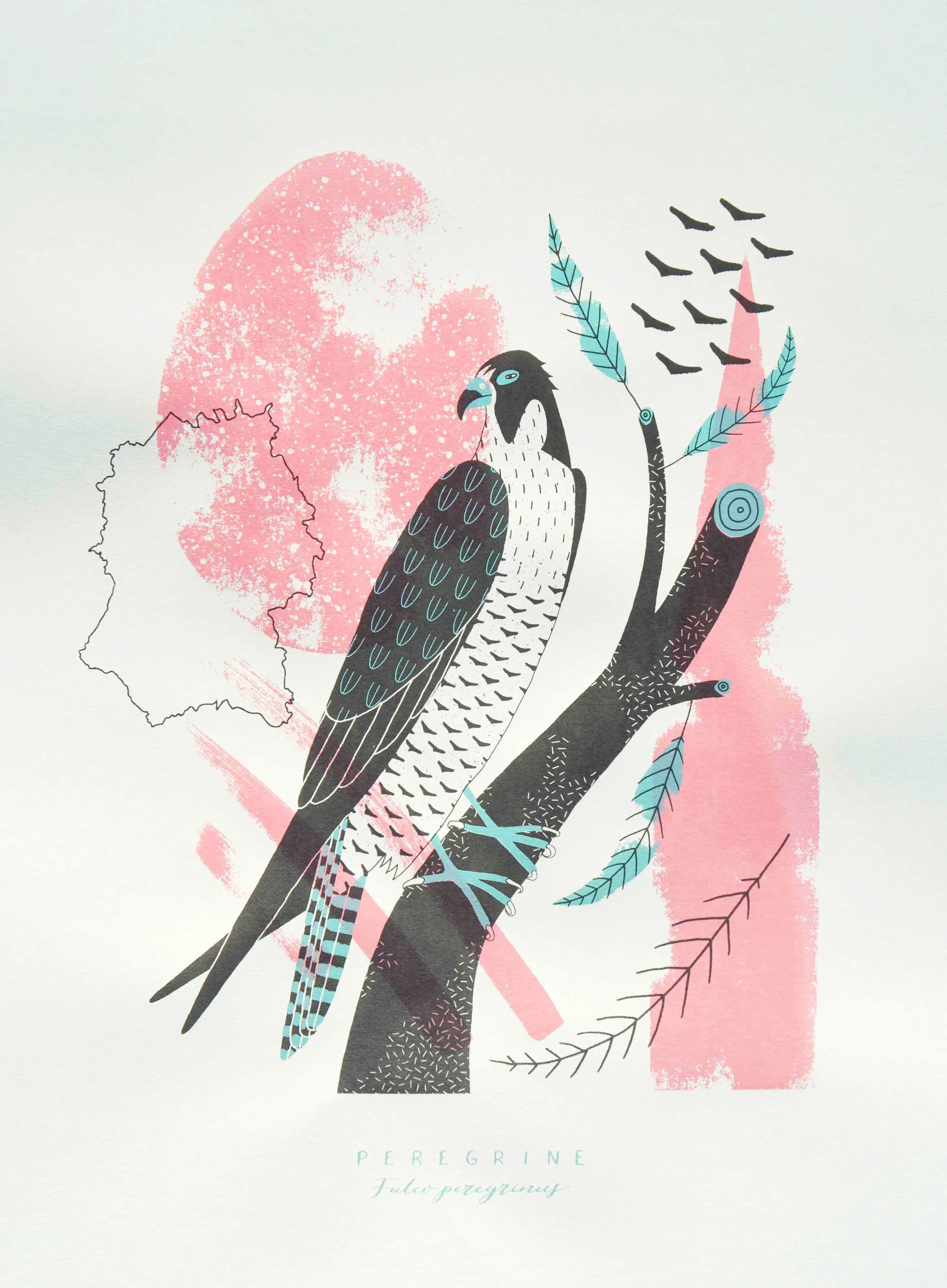 peregrine screenprint close.jpg