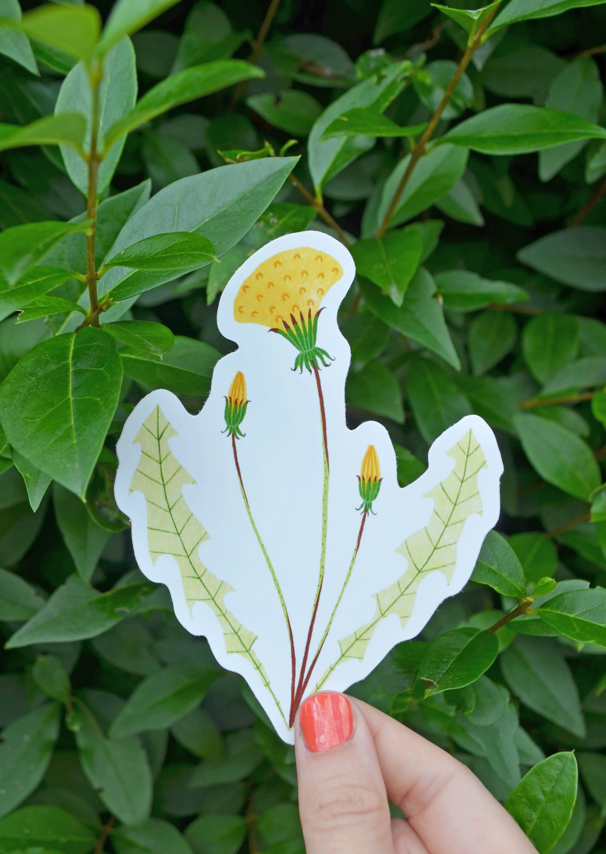 dandelion sticker2.jpg