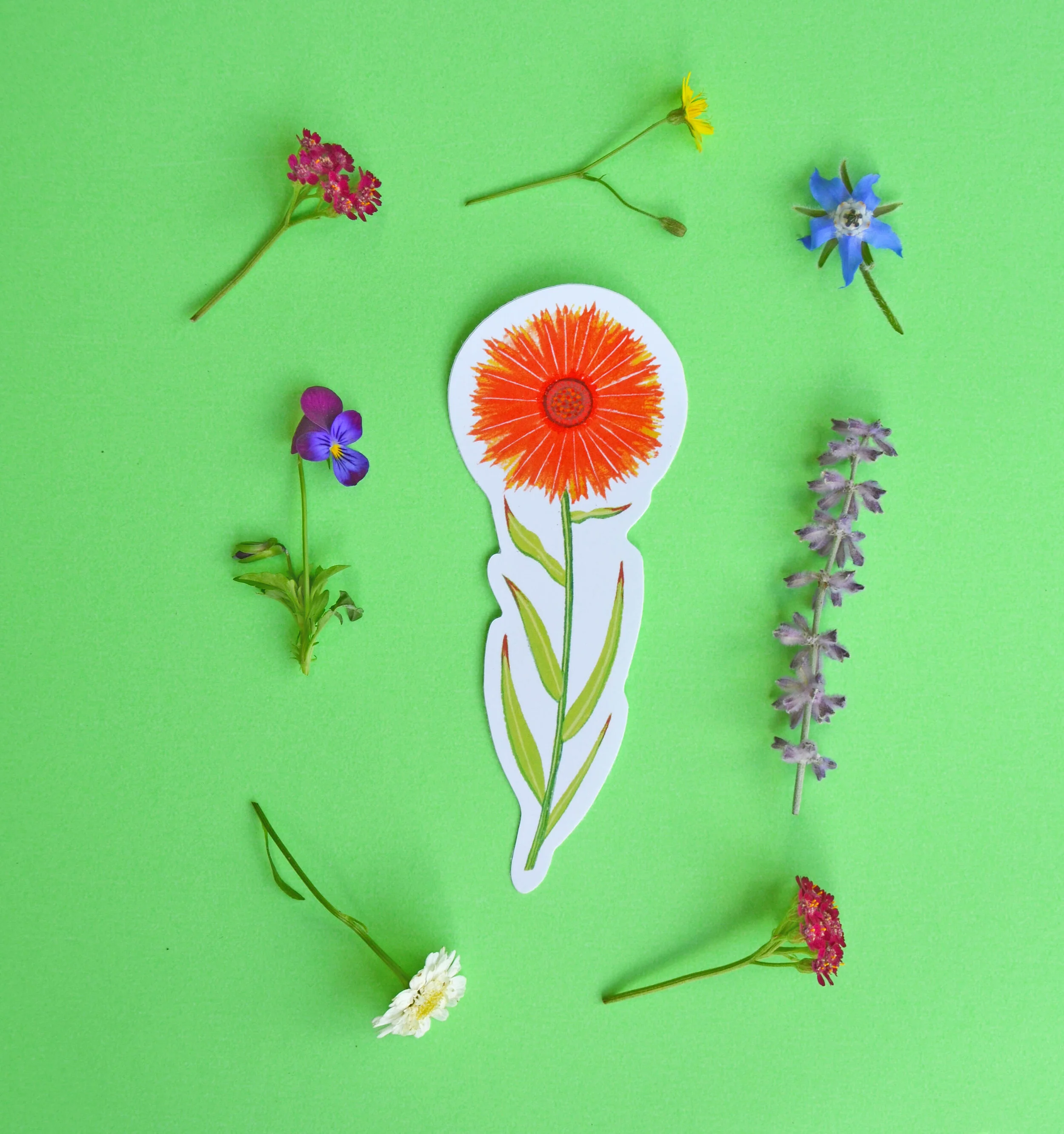 marigold sticker.jpg