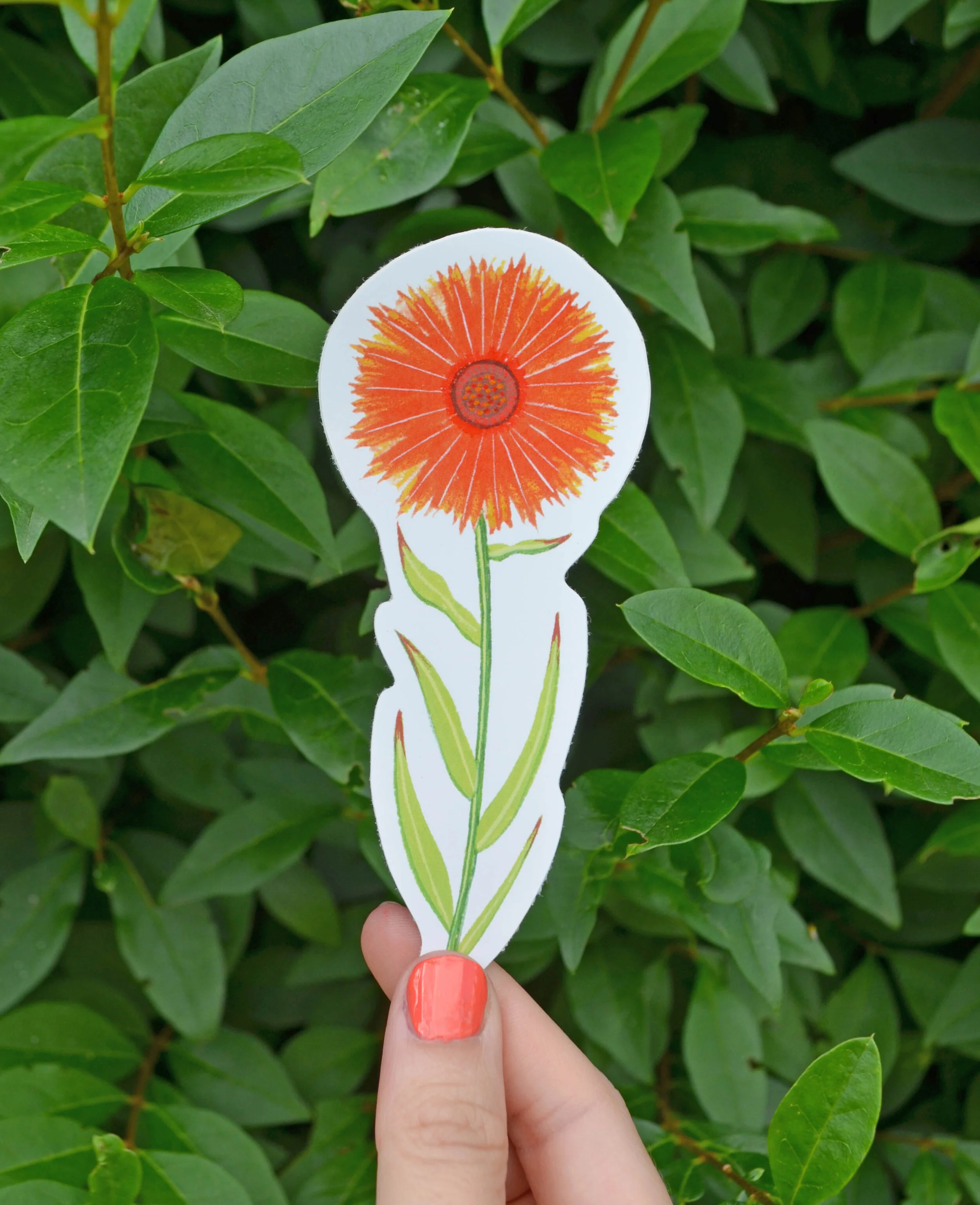 marigold sticker 2.jpg