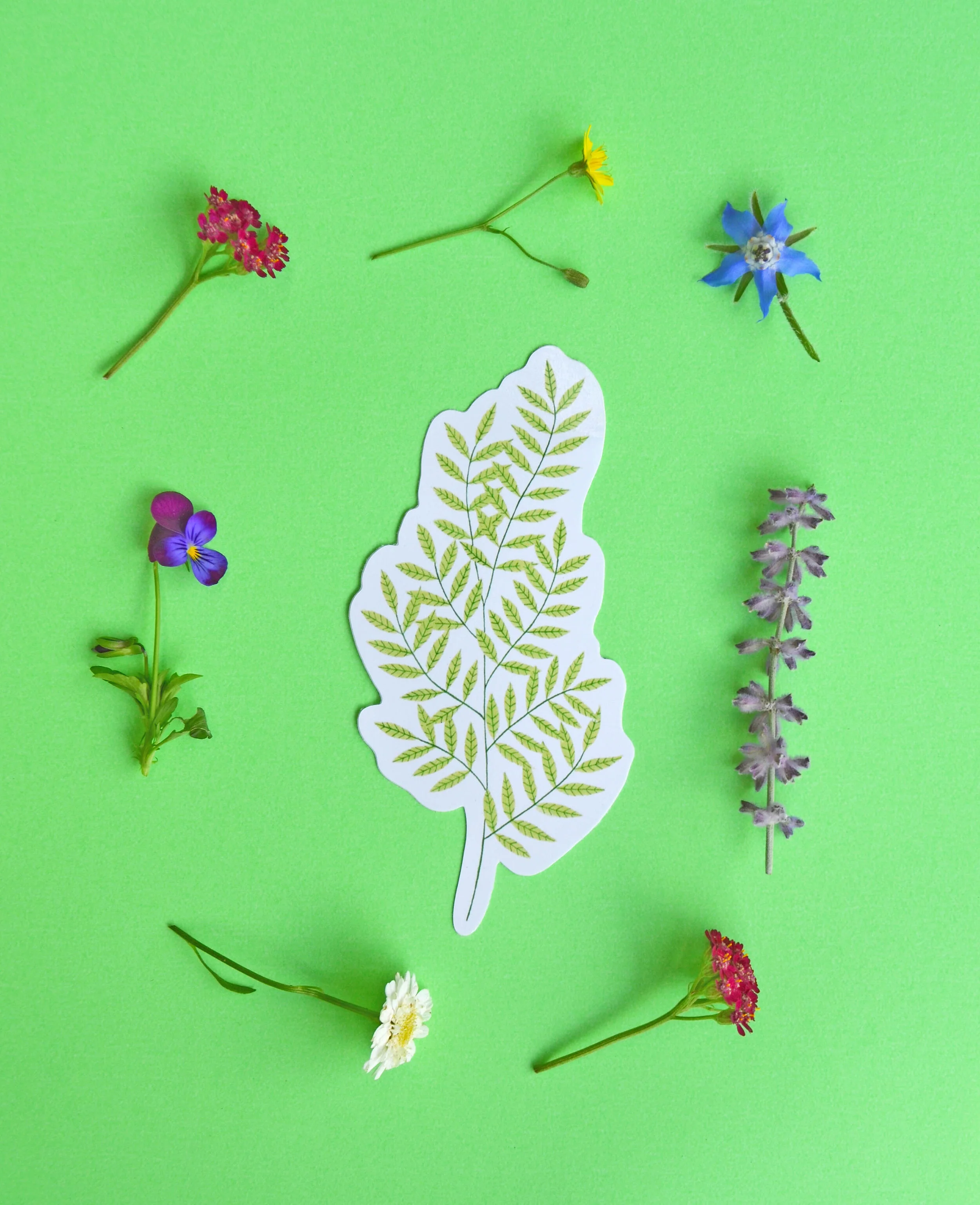 foliage sticker.jpg