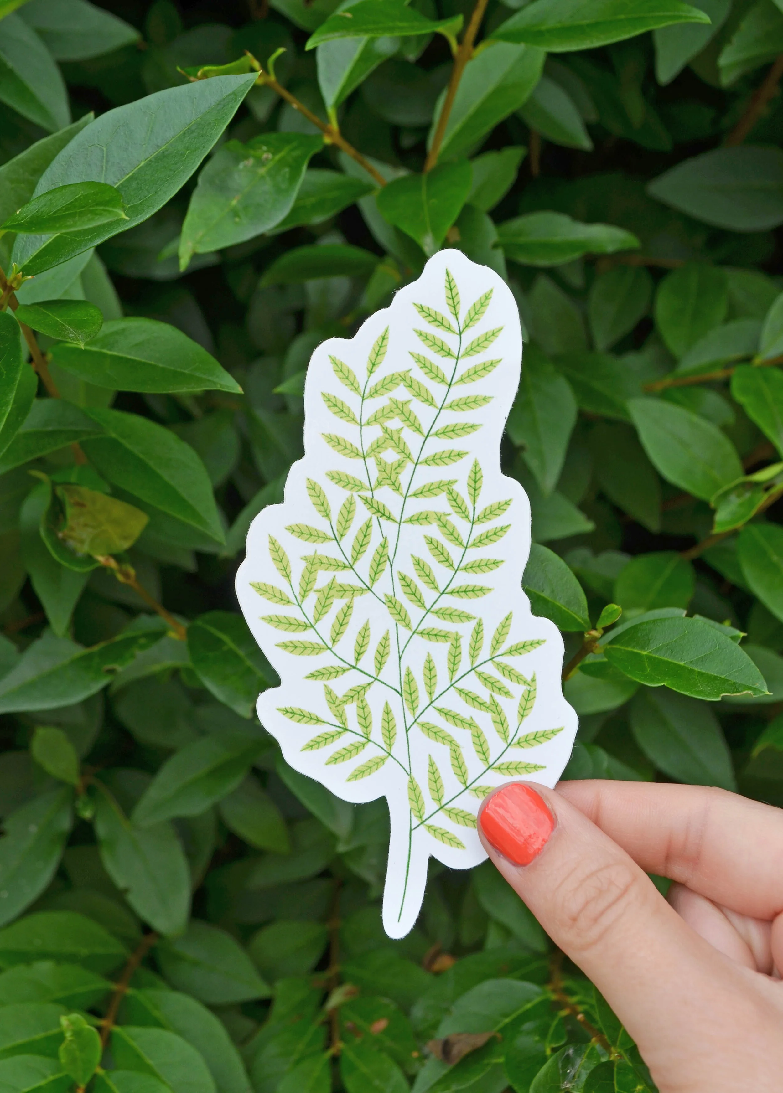 foliage sticker 2.jpg