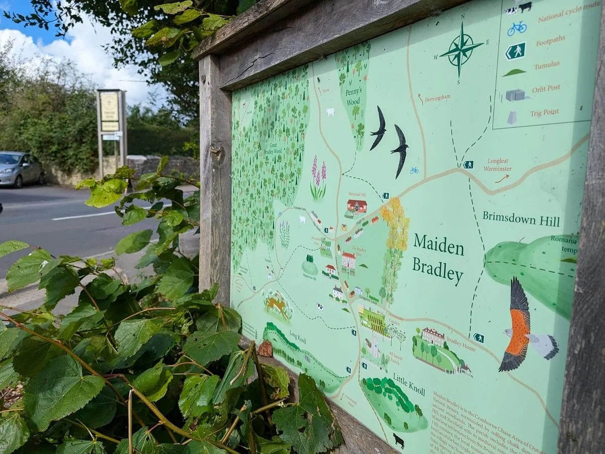 Finally got some photos of an illustrated map I designed for Maiden Bradley, a village in the south west of Wiltshire. The sign reflects the vibrant wildlife in the area and the surrounding countryside, and also highlights the beautiful buildings dot
